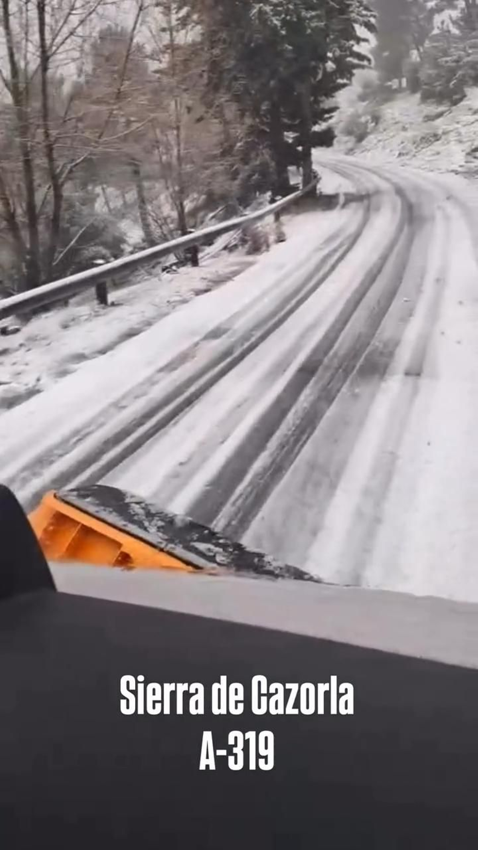 Nevada en la carretera del Parque Natural de Cazorla, Segura y Las Villas