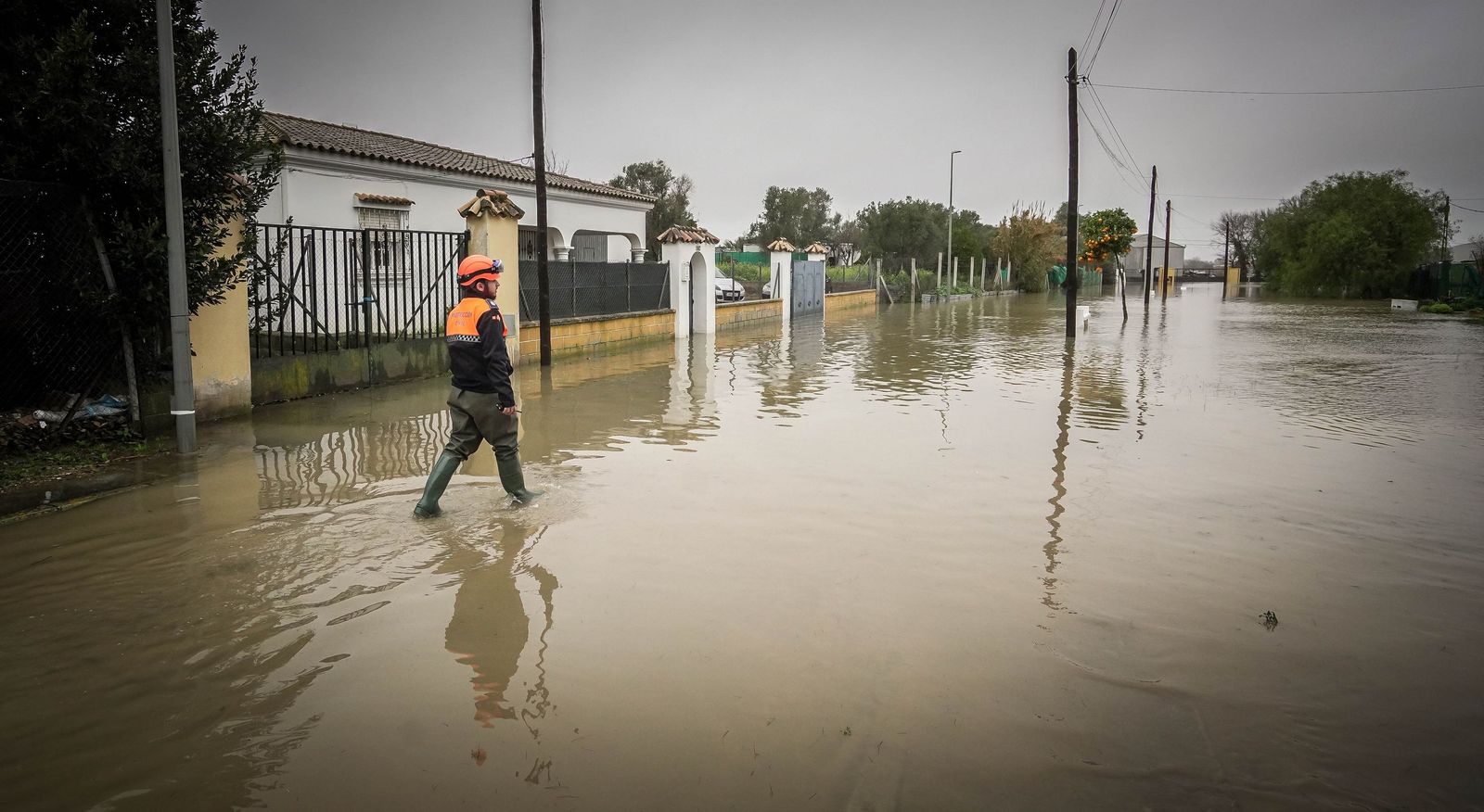 Imágenes de las graves consecuencias de la crecida del rio Guadalete en la zona rural de Jerez