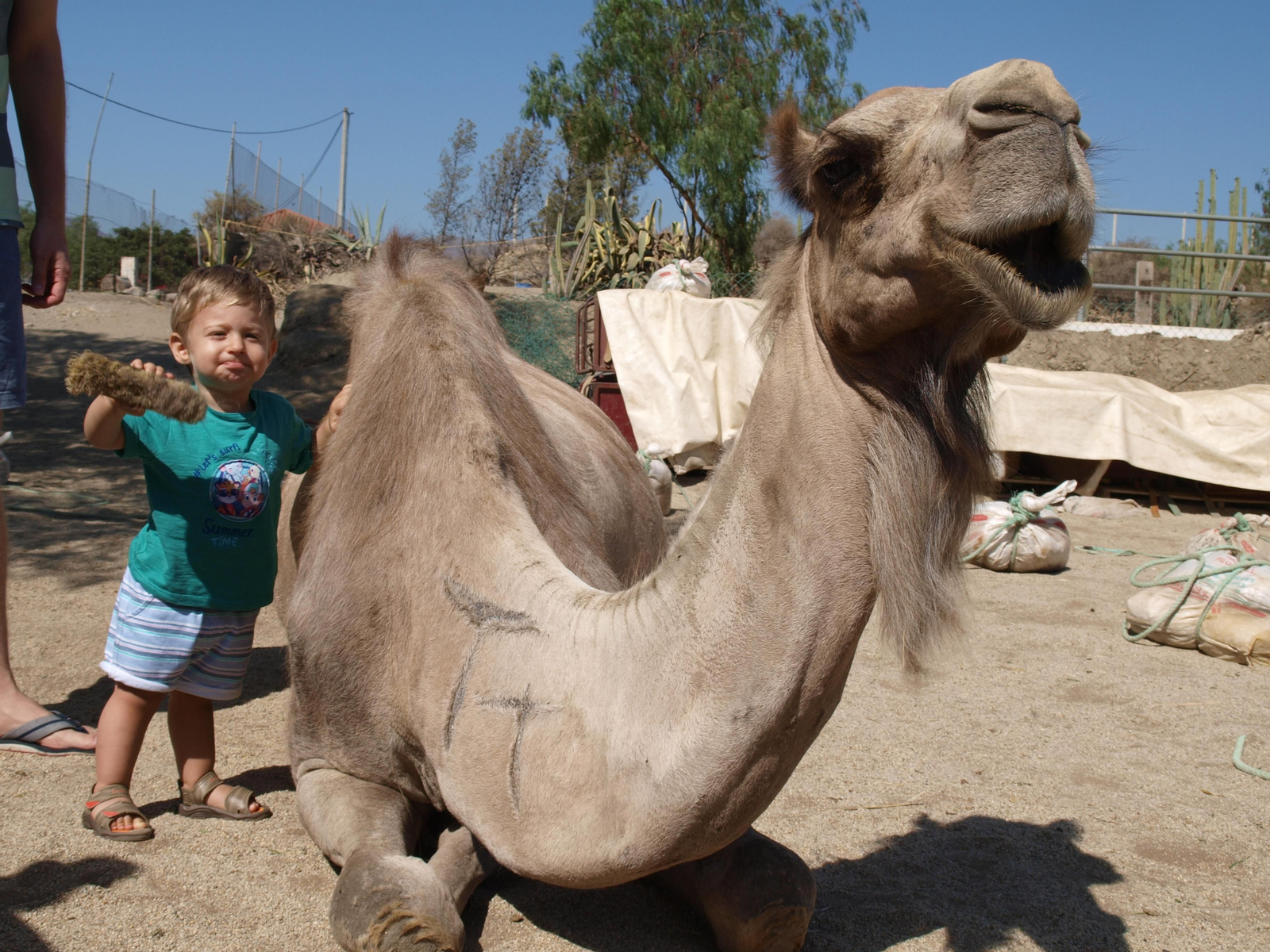 La granja-escuela del desierto abre sus puertas.