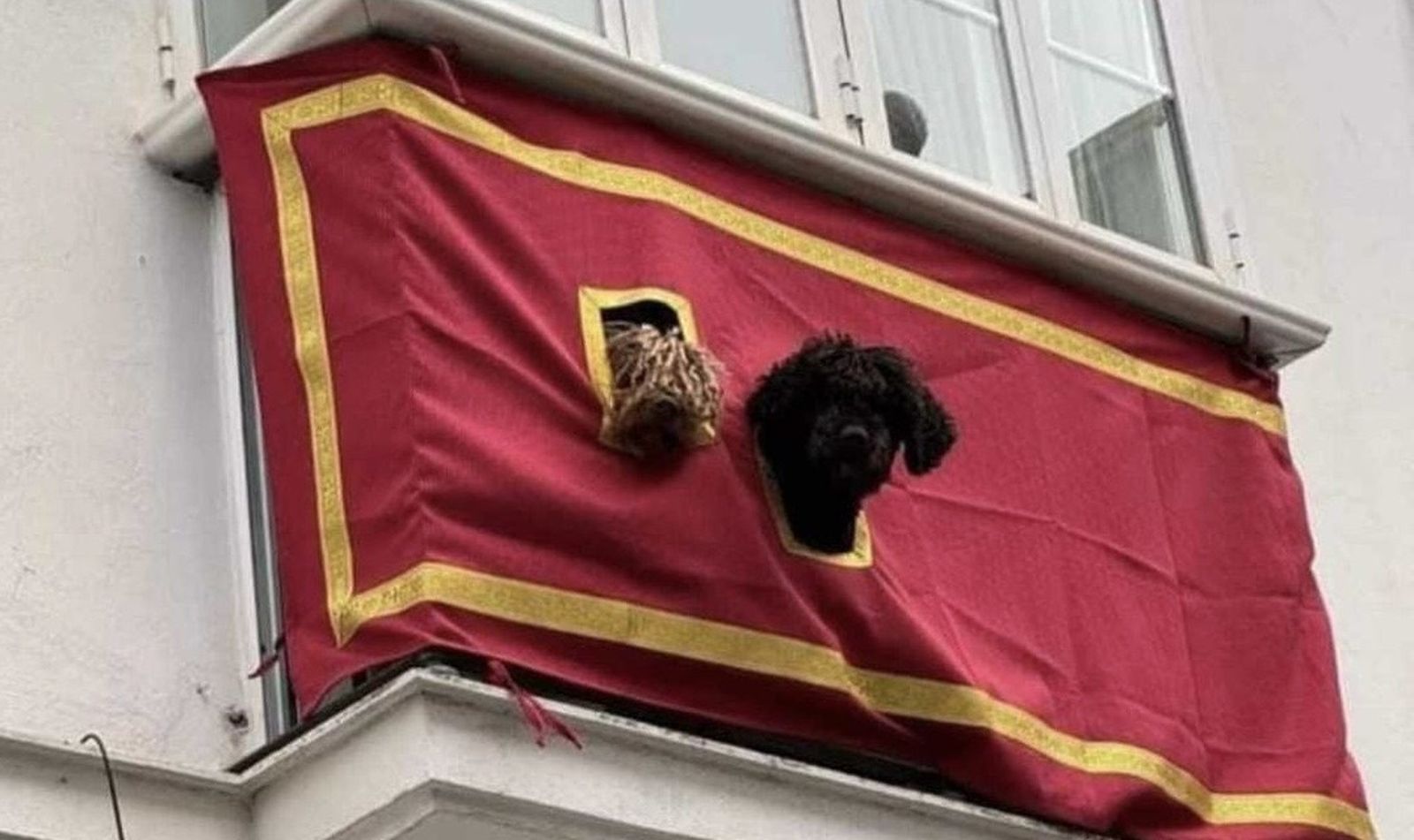 El Cachorro versión gaditana