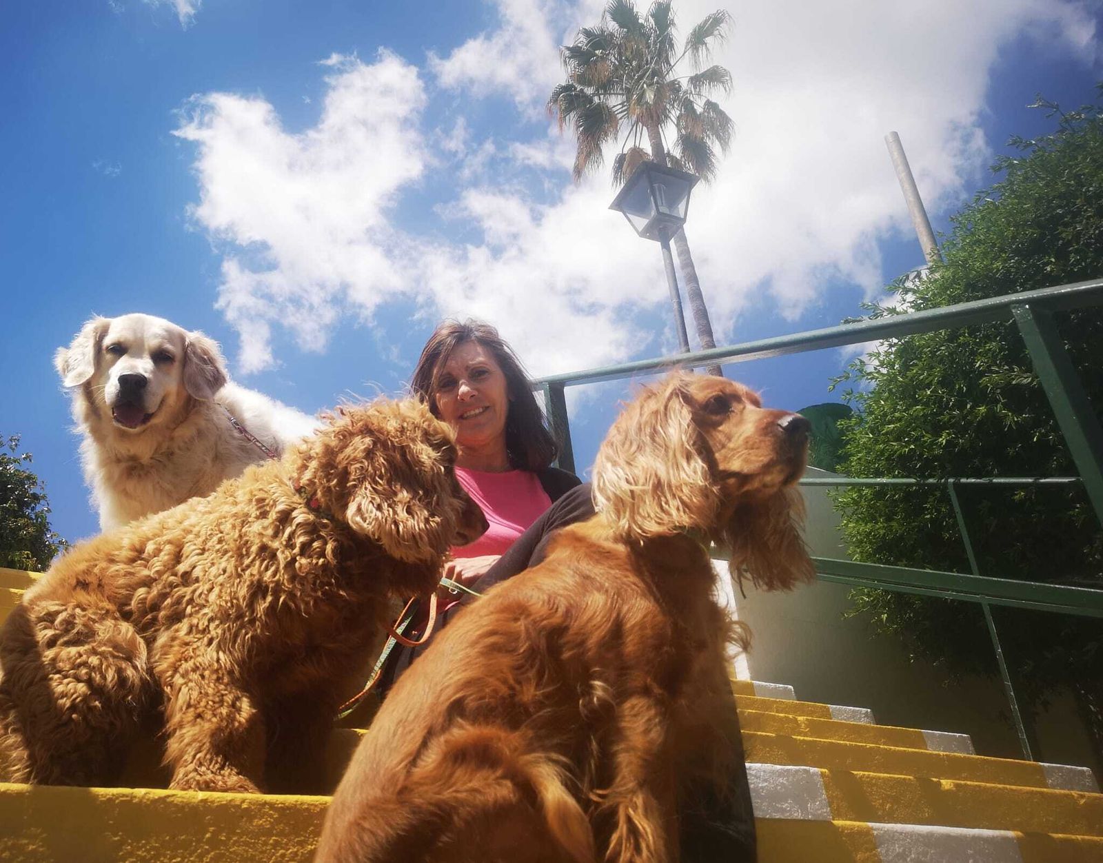 María José, de Panadería Acevedo, con sus perros.