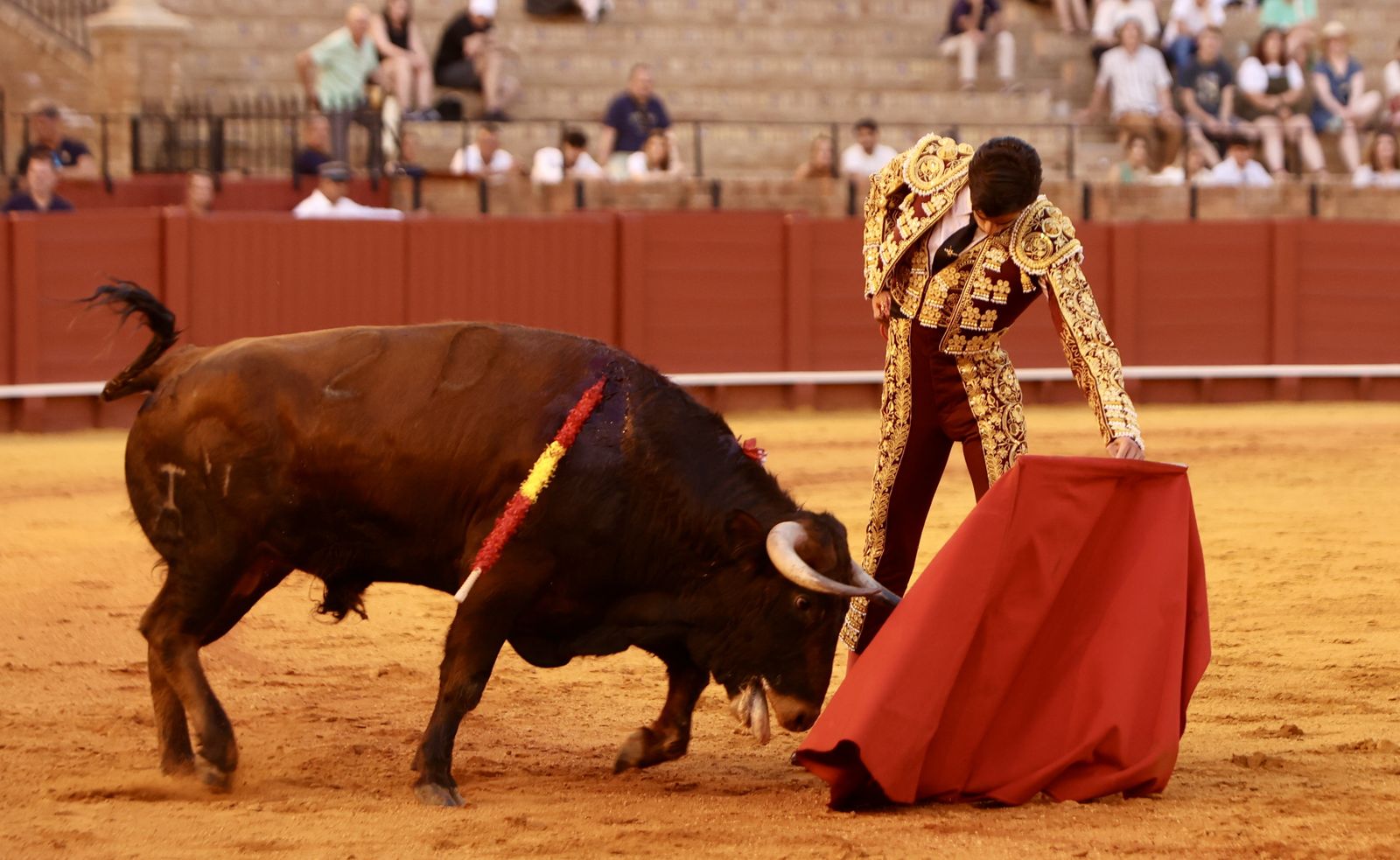 Novillada El Melli, Aarón Palacios y Manuel Jesús  Carrión