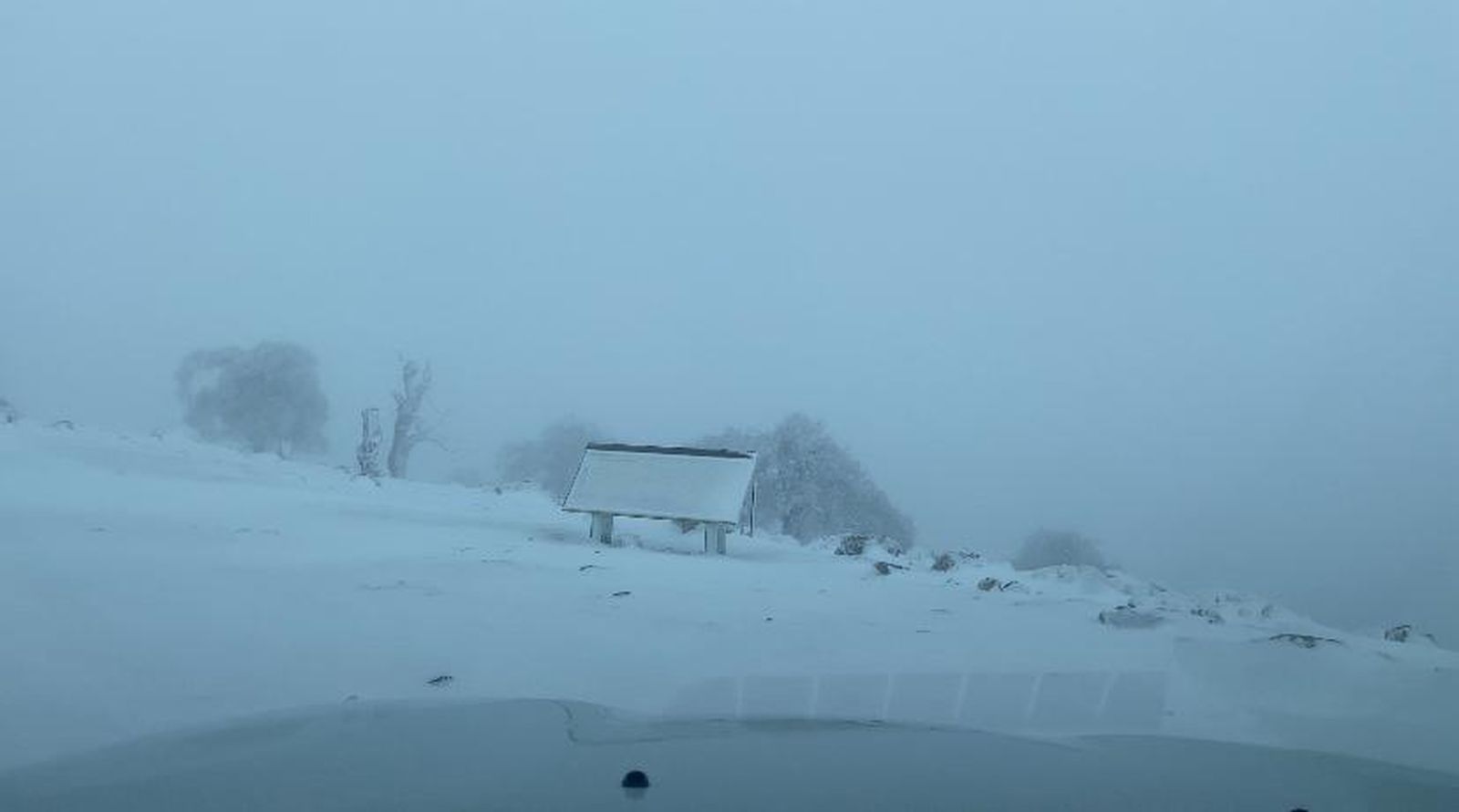 El Parque Nacional Sierra de las Nieves se viste de blanco, en imágenes