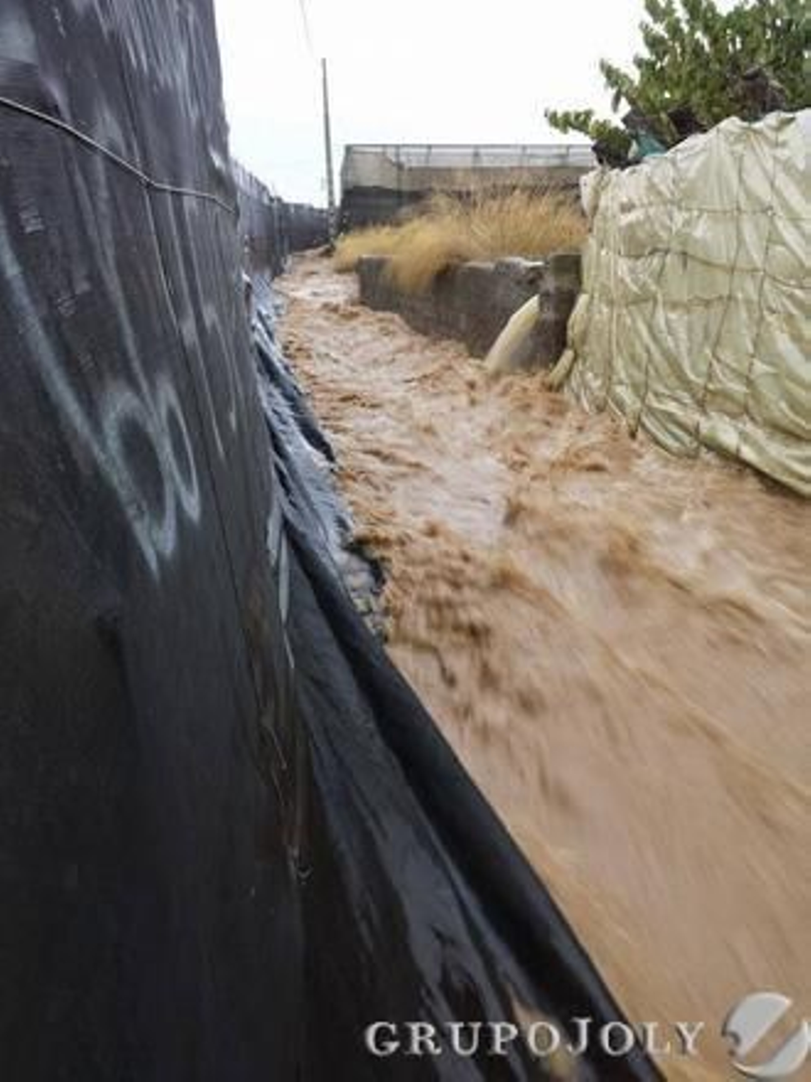 Foto: Diario de Almería