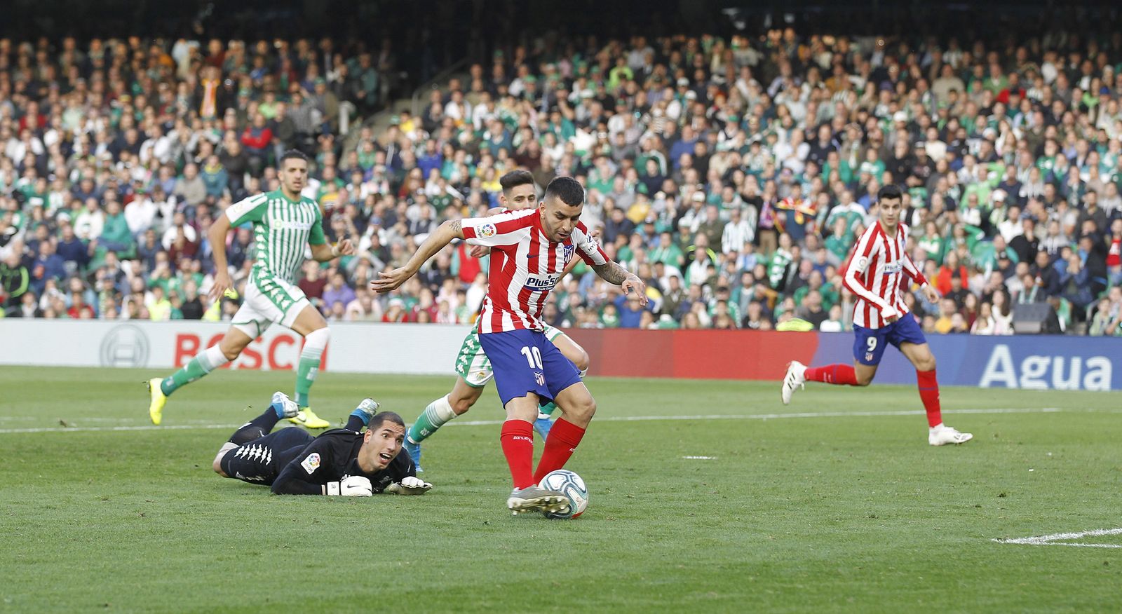 Las imágenes del Betis-atlético de Madrid