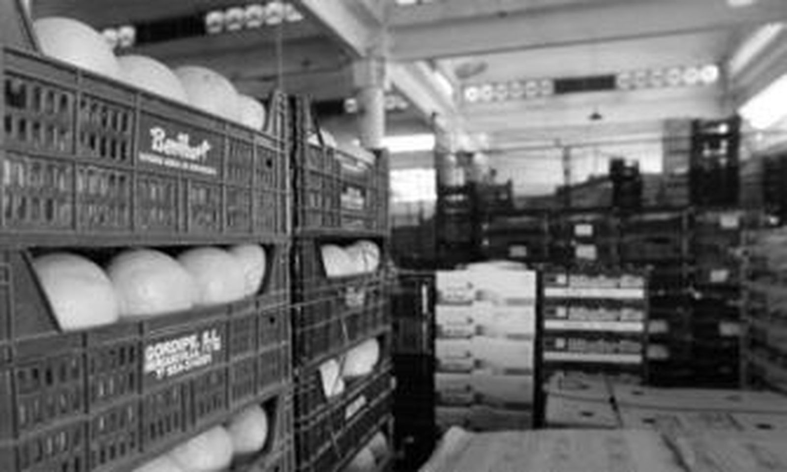 Imagen del interior del mercado mayorista.