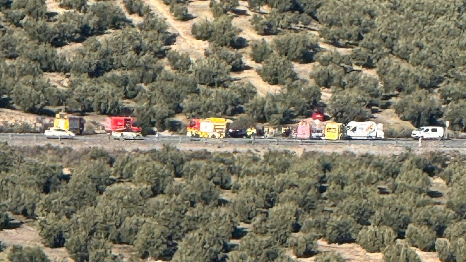 Los vehículos de los servicios sanitarios y los bomberos de Baena desplazados al lugar del accidente.