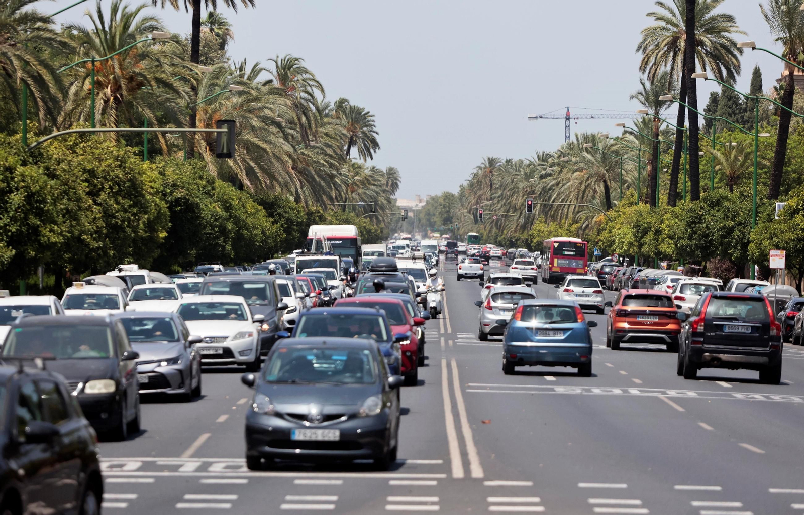Tráfico intenso en la avenida de la Palmera.