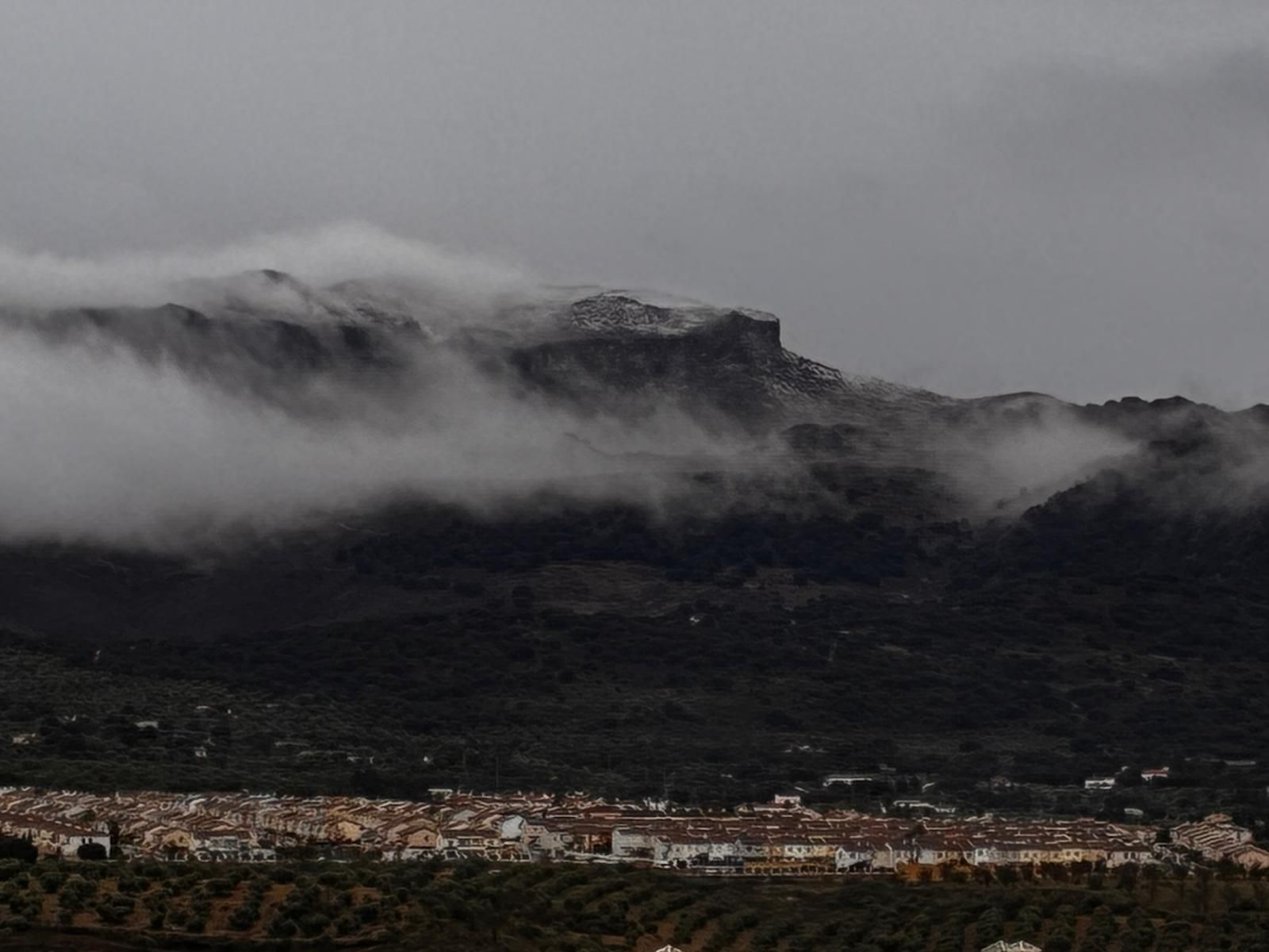El Parque Nacional Sierra de las Nieves cubierto por la helada, en imágenes