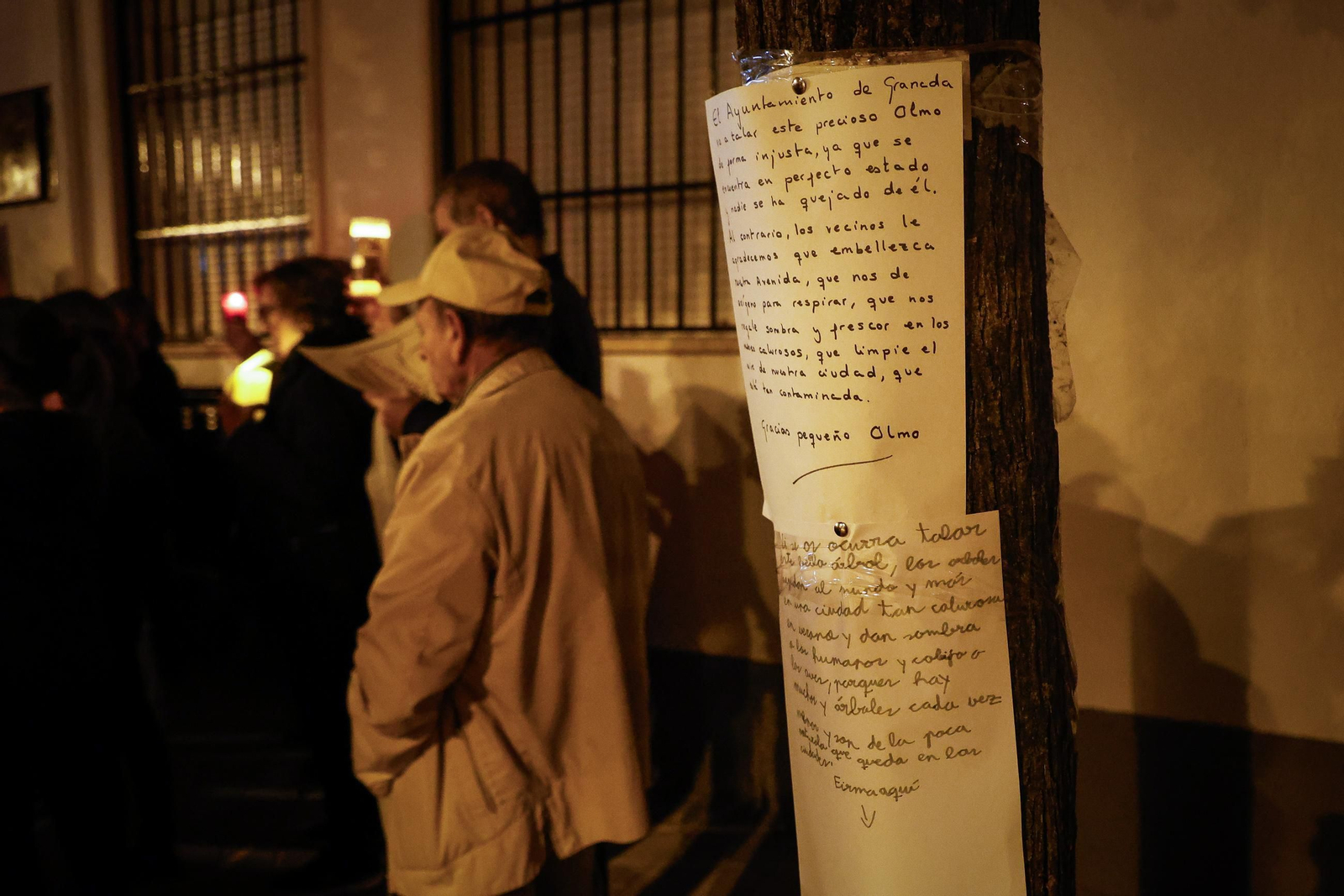 Velas, pancartas y árboles simbólicos: así han protestado los vecinos de Cervantes en Granada