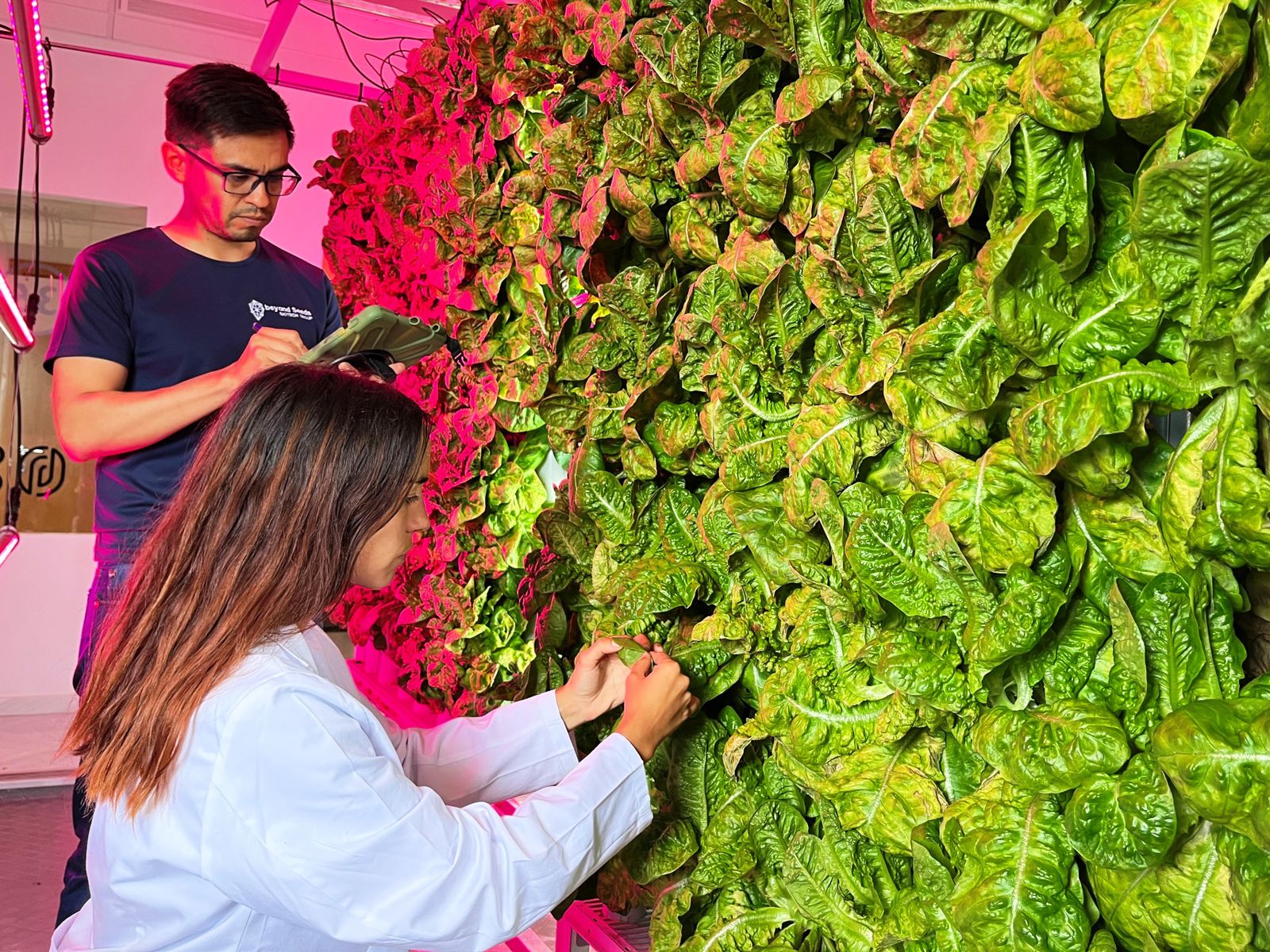 Técnicos trabajando en agricultura vertical en ambiente controlado.