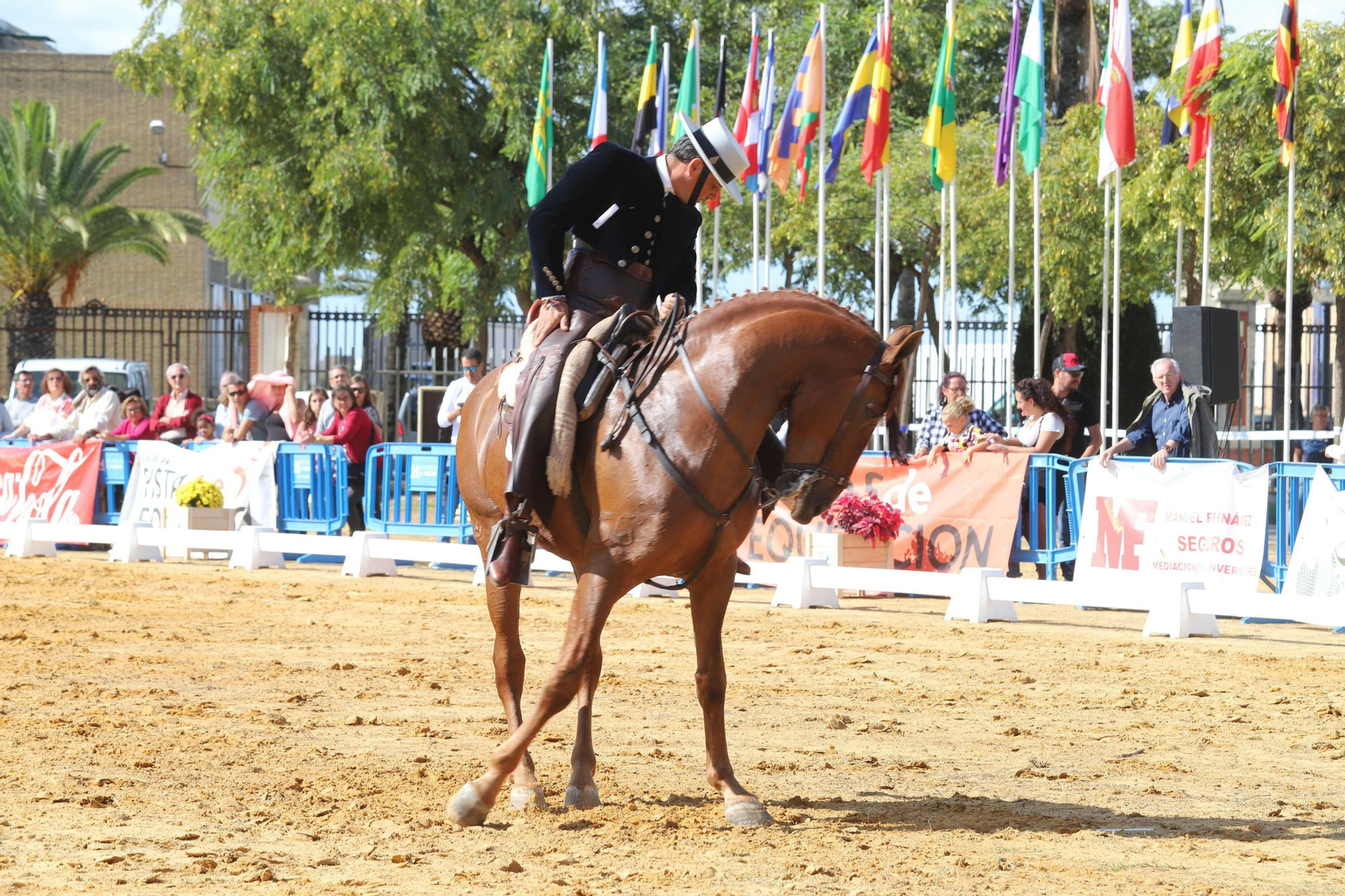 Exhibición de doma en el Parque Juan Ceada.