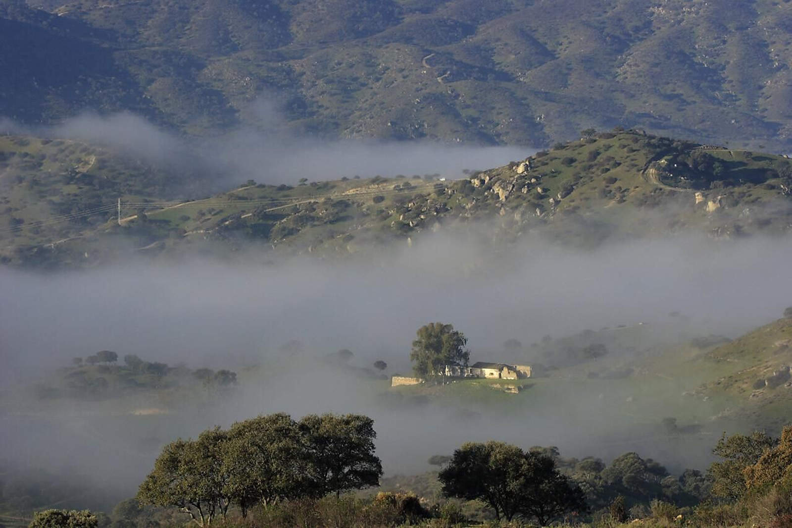 La niebla baña parte del valle con una estampa muy peculiar.