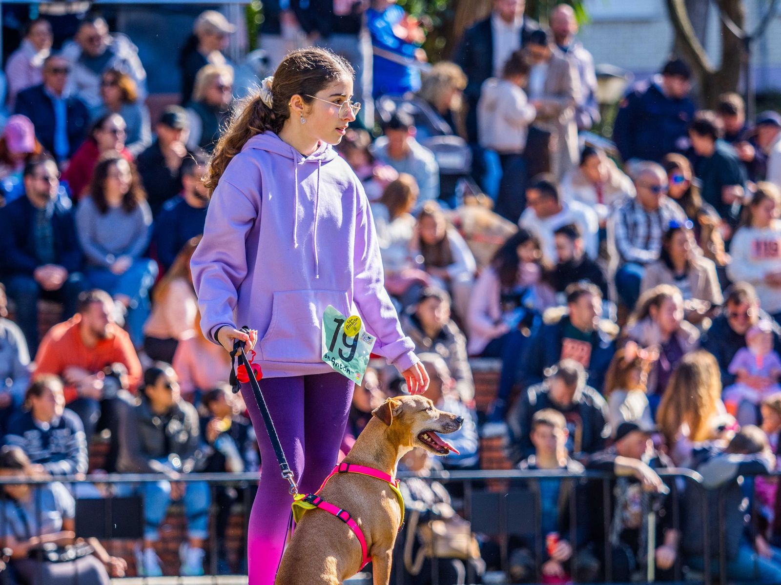 Las imágenes de San Antón 2025 en San Fernando
