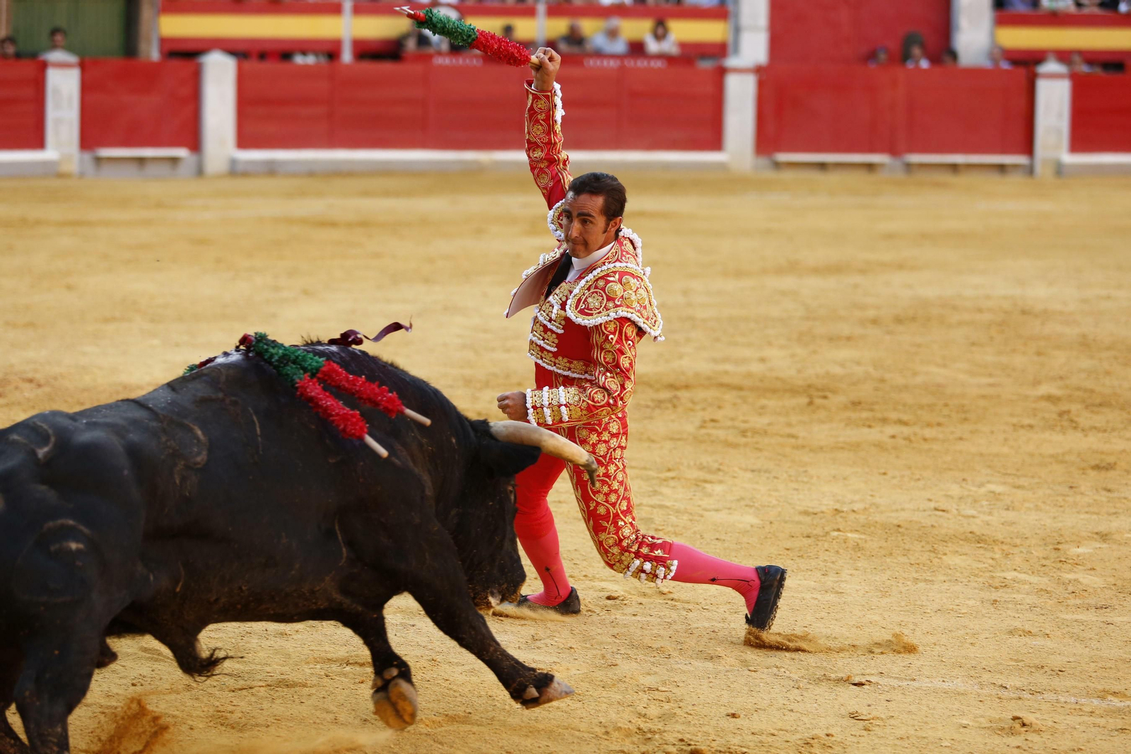 Las mejores imágenes de los toros en el Corpus