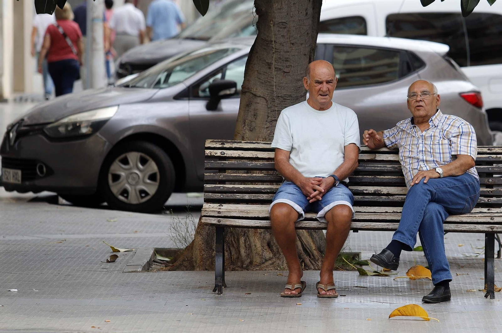 Un paseo en imágenes por la Plaza del Antiguo Estadio y sus alrededores