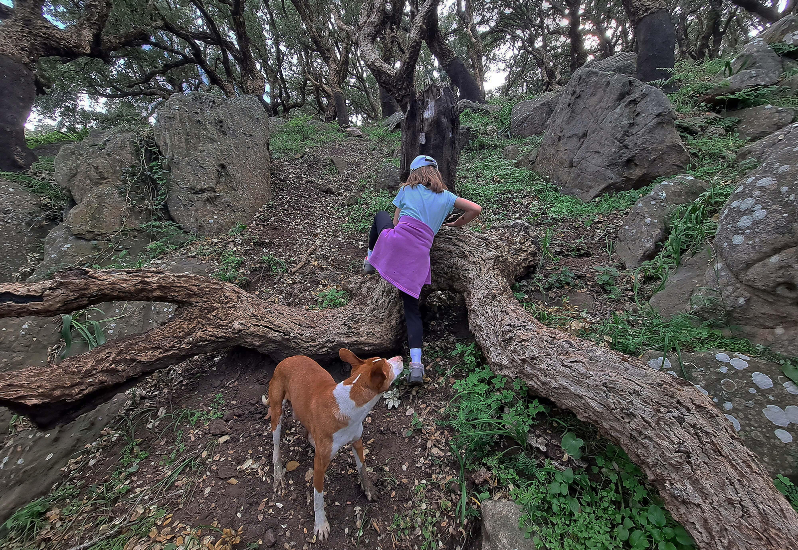 Fotos de la ruta de El Bujeo en Algeciras