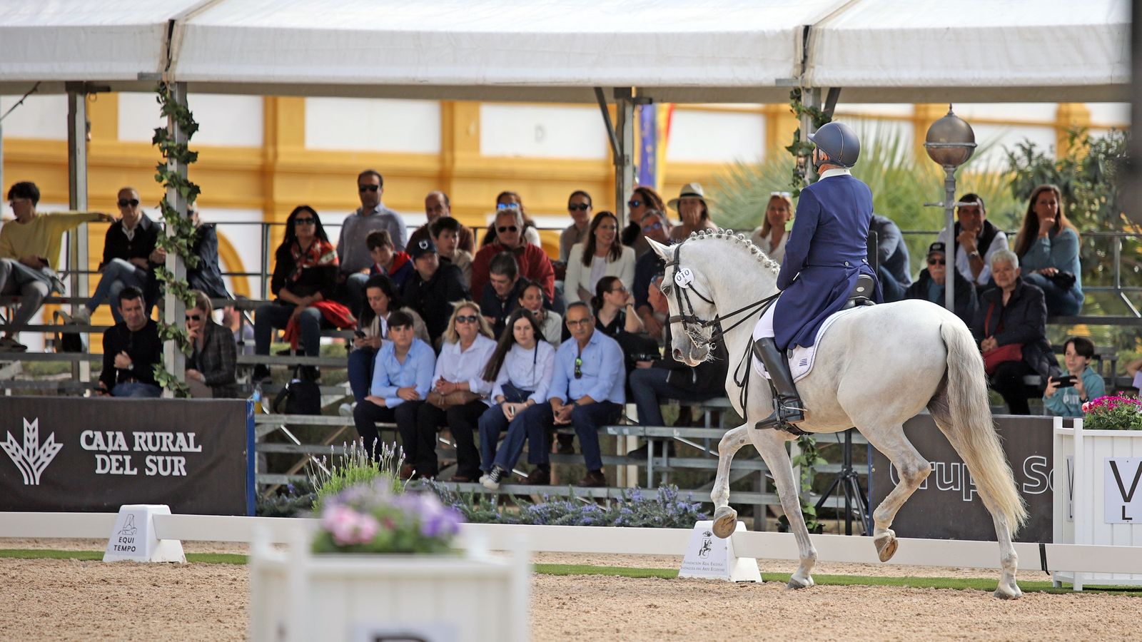 El Concurso Internacional en la Real Escuela Ecuestre, en imágenes