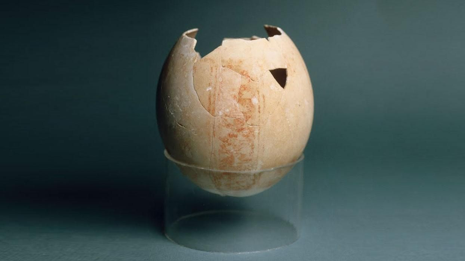 Vaso de cáscara de avestruz.