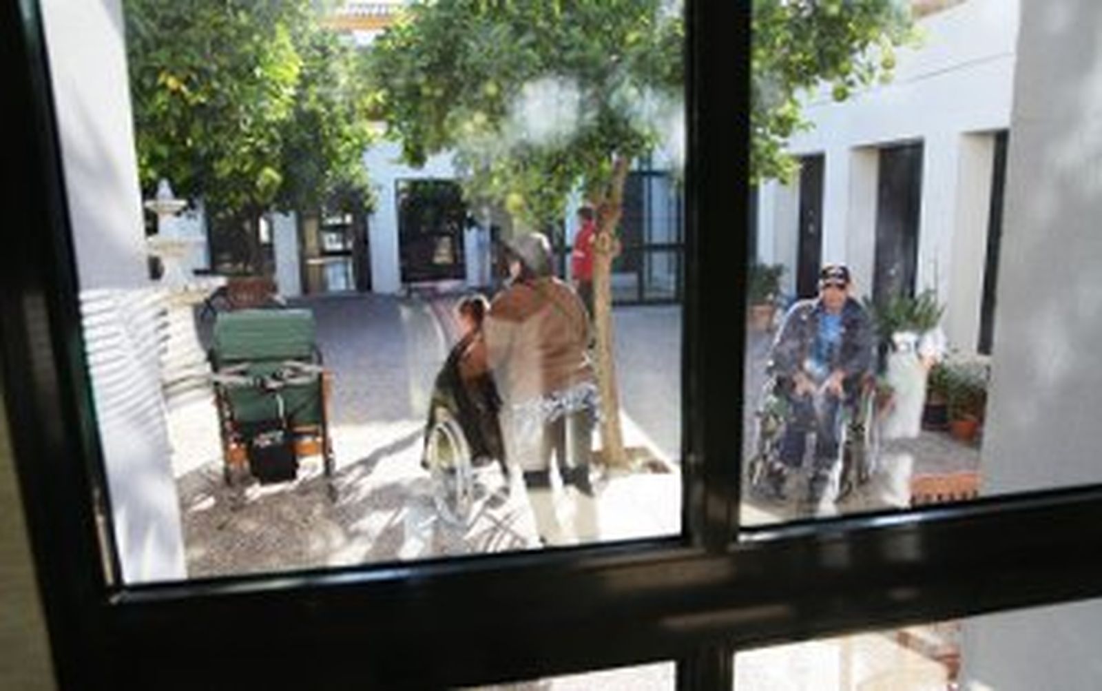 Puesta en valor de la madurez sexual