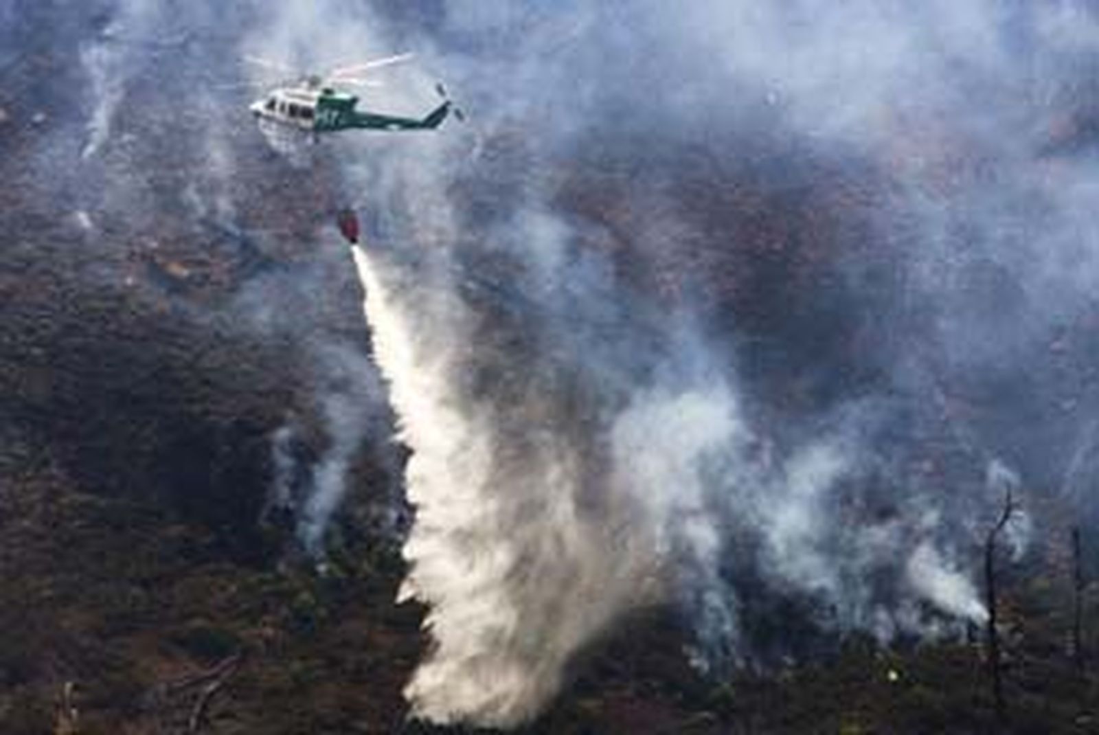 Estabilizado el incendio declarado ayer en Los Pedregales