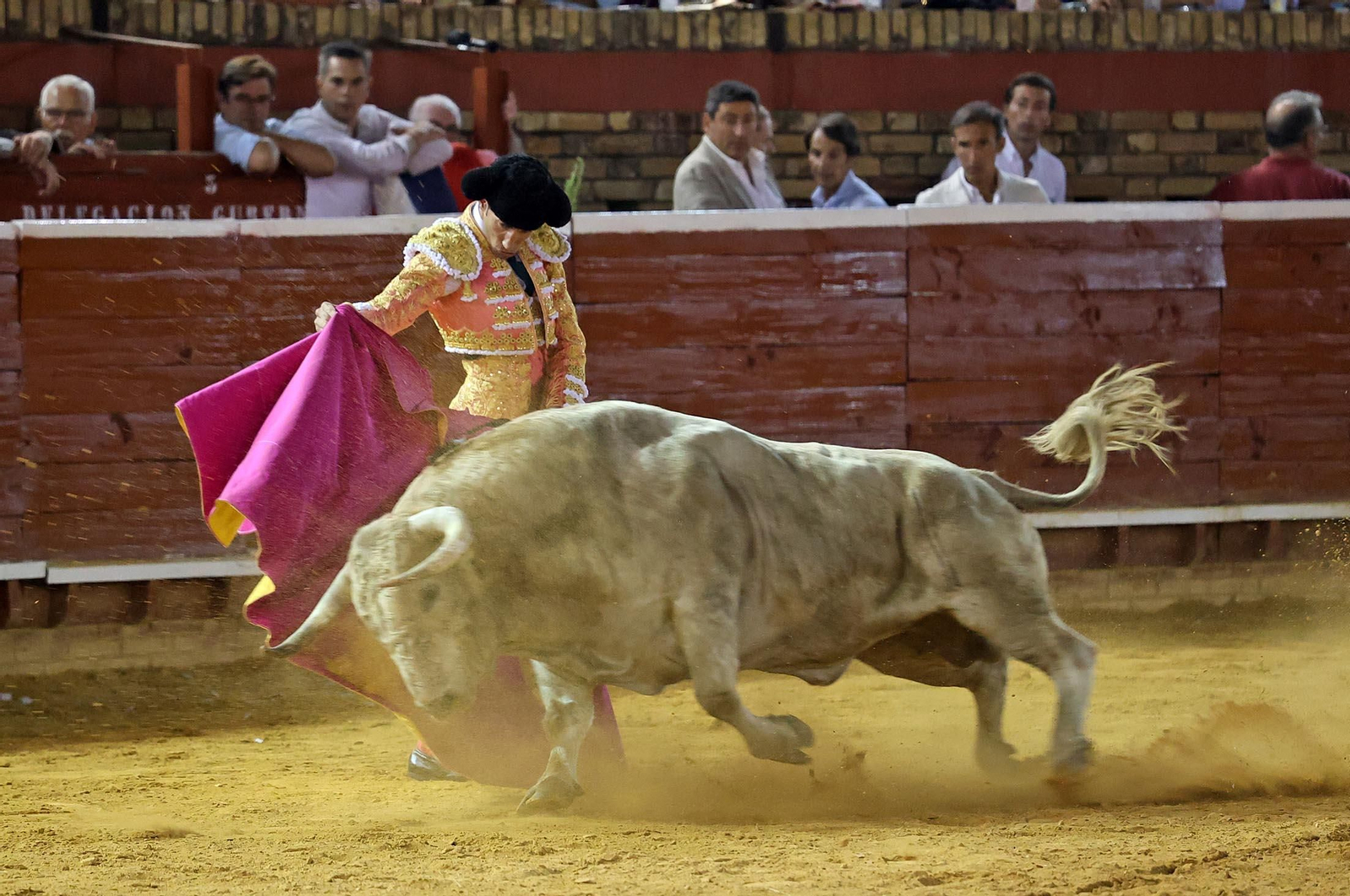 Toros La Merced: Imágenes de la corrida de David de Miranda, Roca Rey y Manzanare