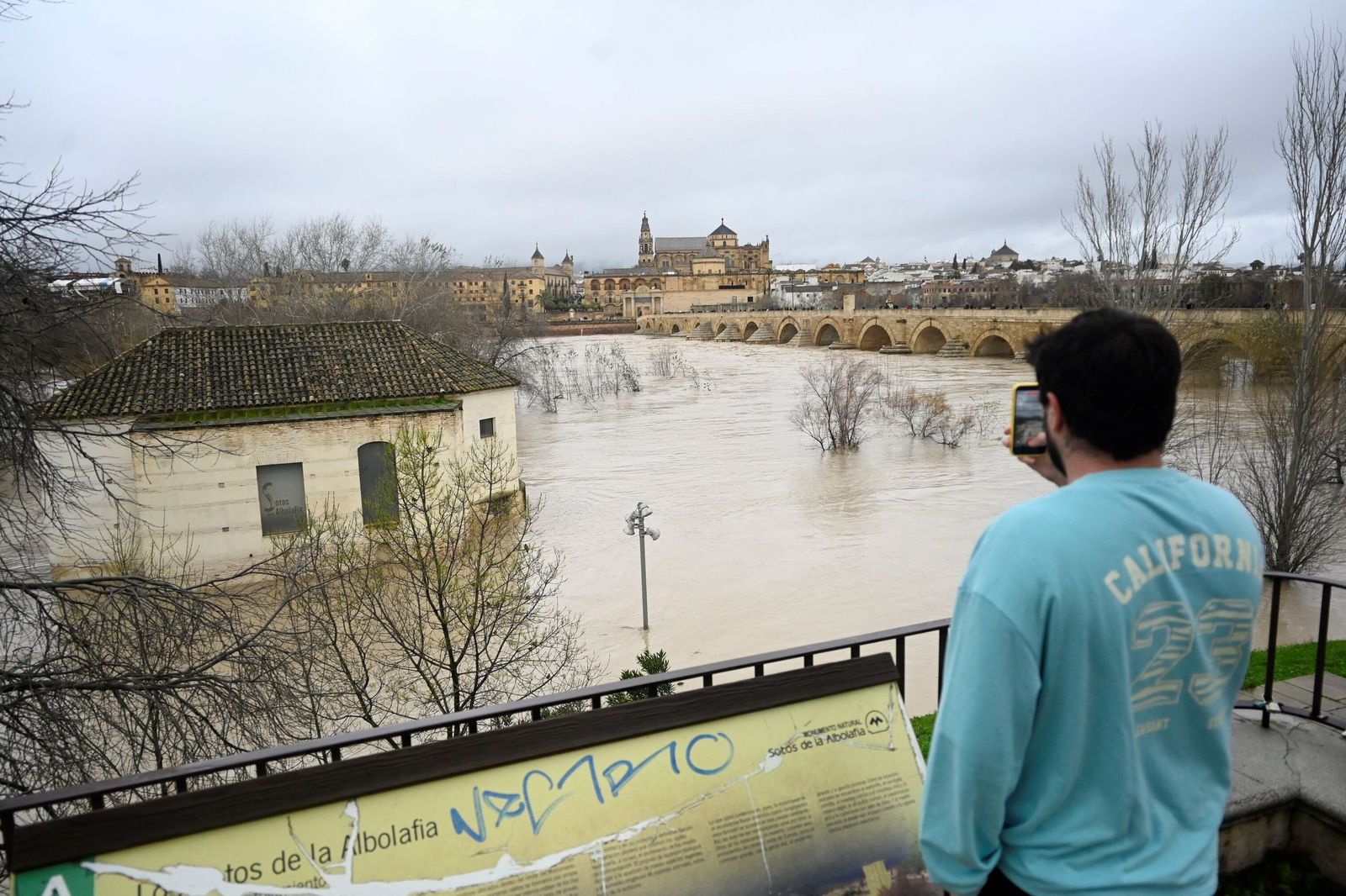 La impresionante crecida del río Guadalquivir: se acerca a los 6 metros a su paso por Córdoba