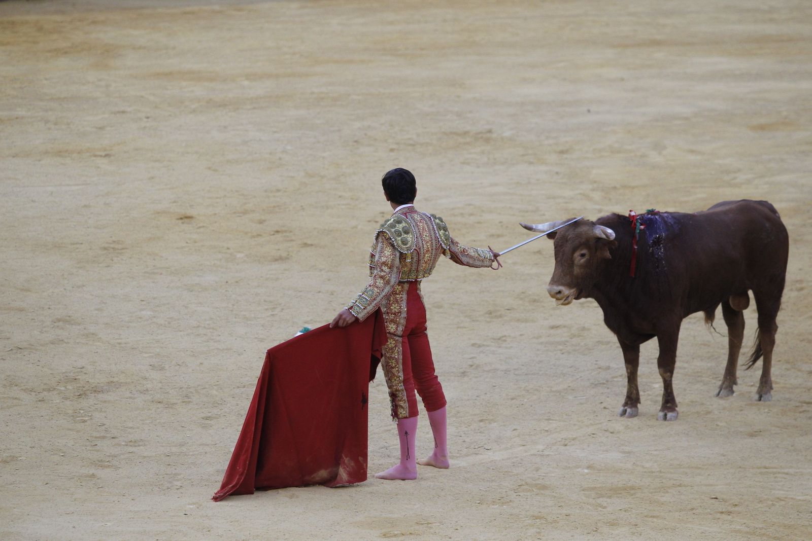 Fotogalería novillada Escuela Taurina de Almería. Feria de Almería 2019