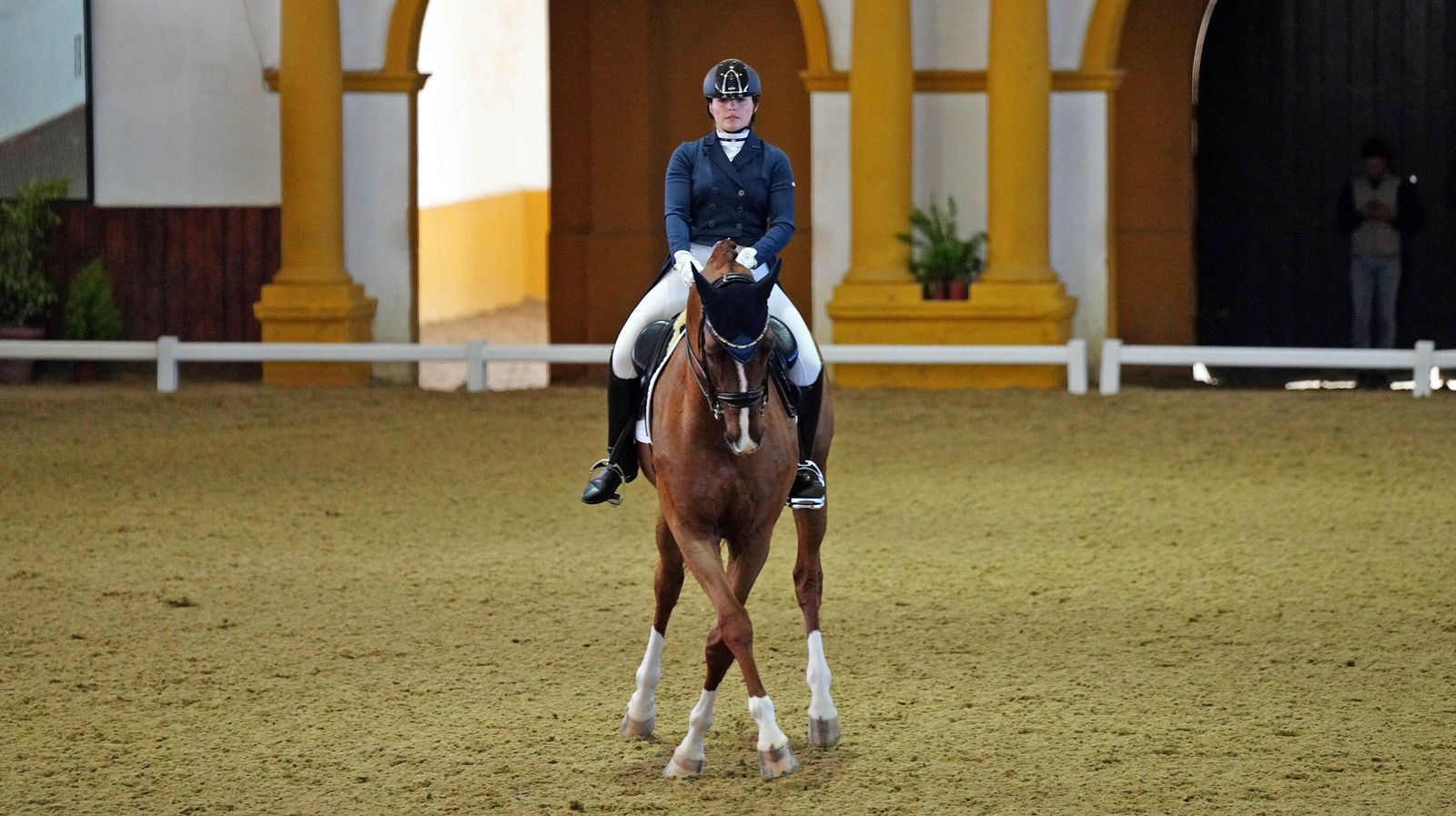Concurso de Doma Clásica internacional en la Real escuela de Jerez