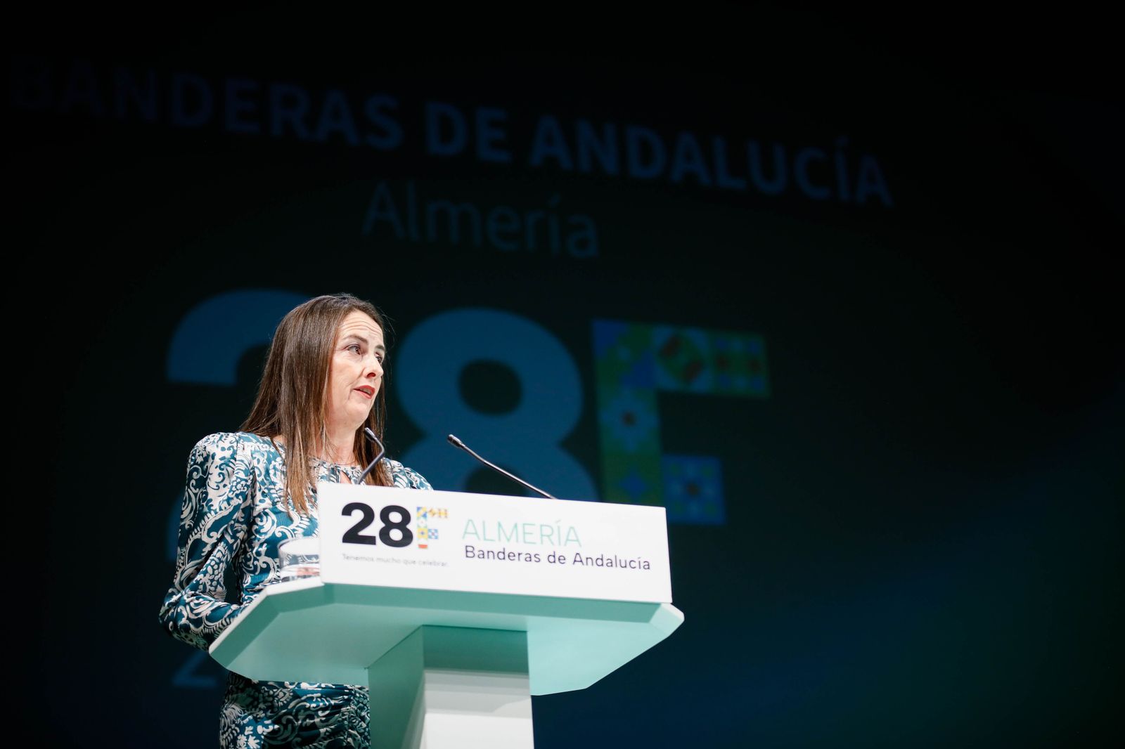 Imágenes de las entregas de las banderas de Andalucía