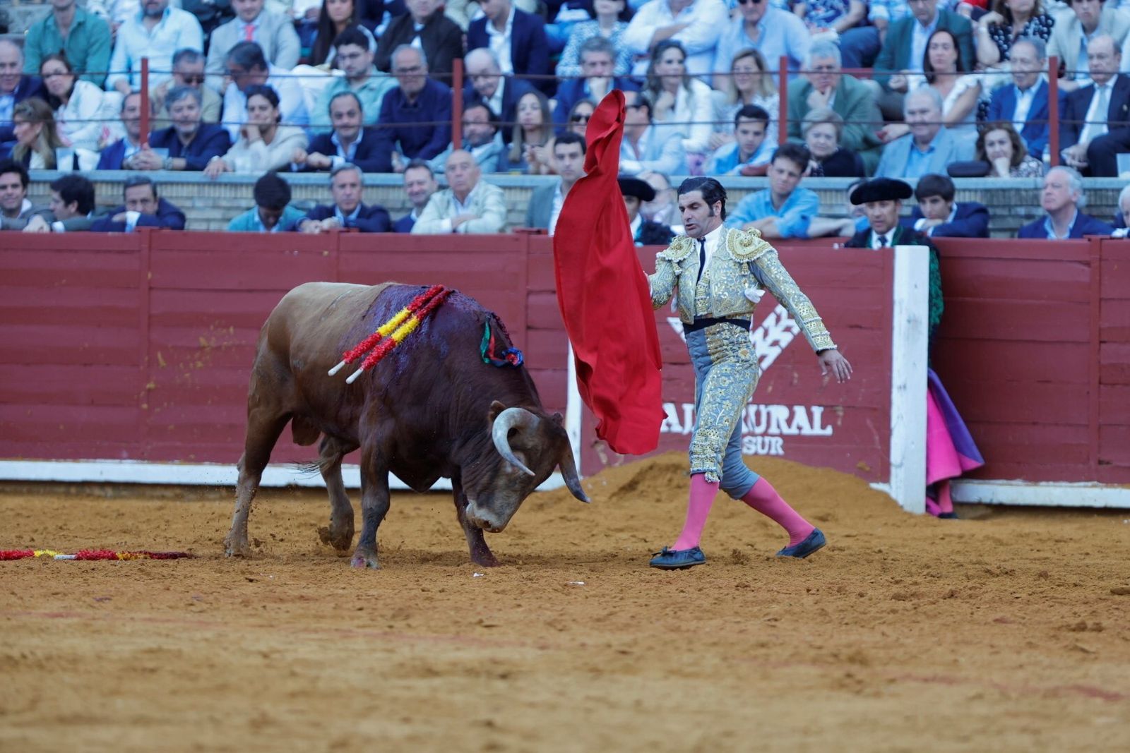 Las mejores fotos de la corrida de Morante, Ortega y Roca Rey en la Feria Taurina de Córdoba