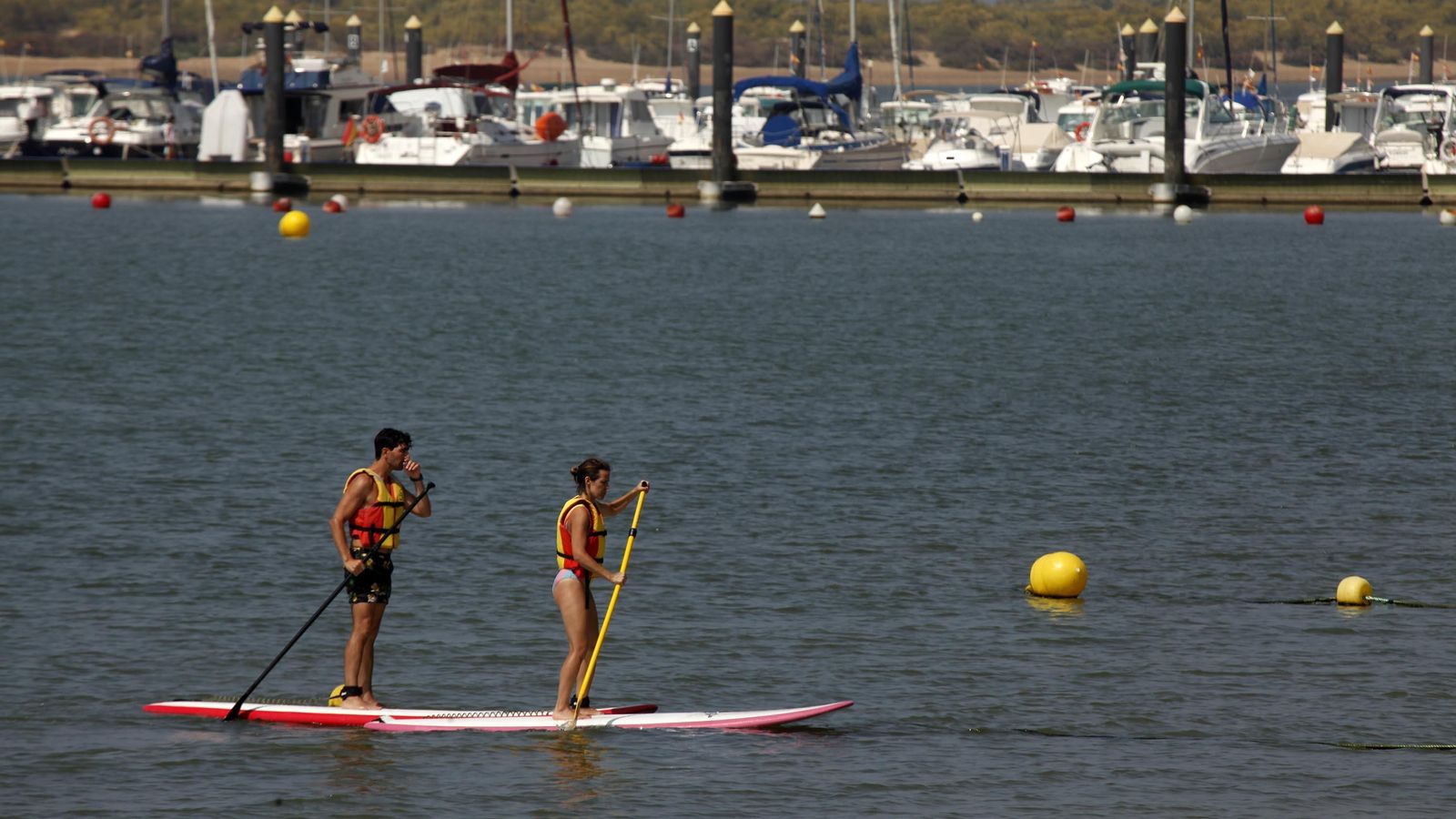 Dos bañistas practicando surf de remo.