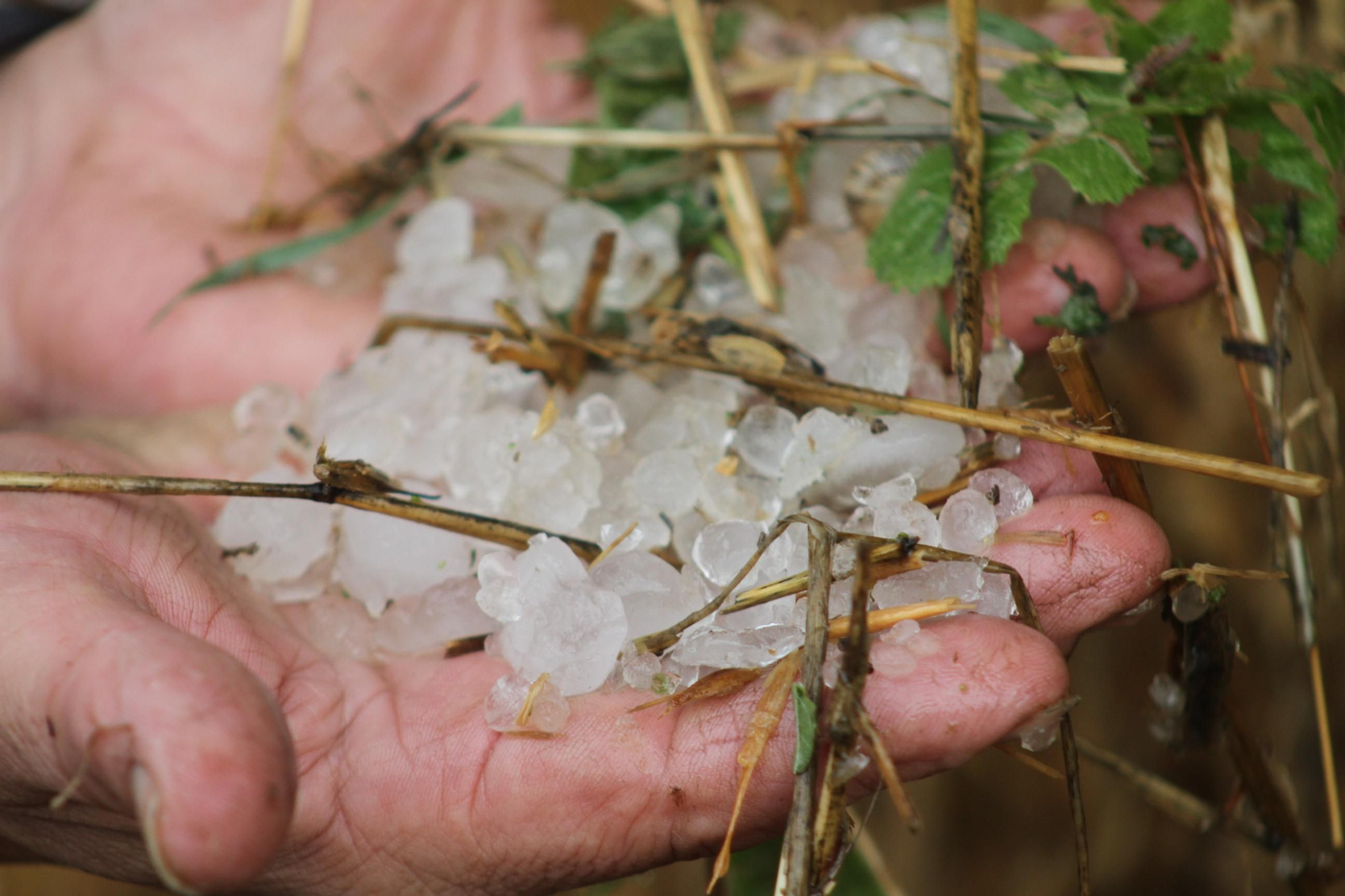 Imágenes del temporal en la provincia de Cádiz