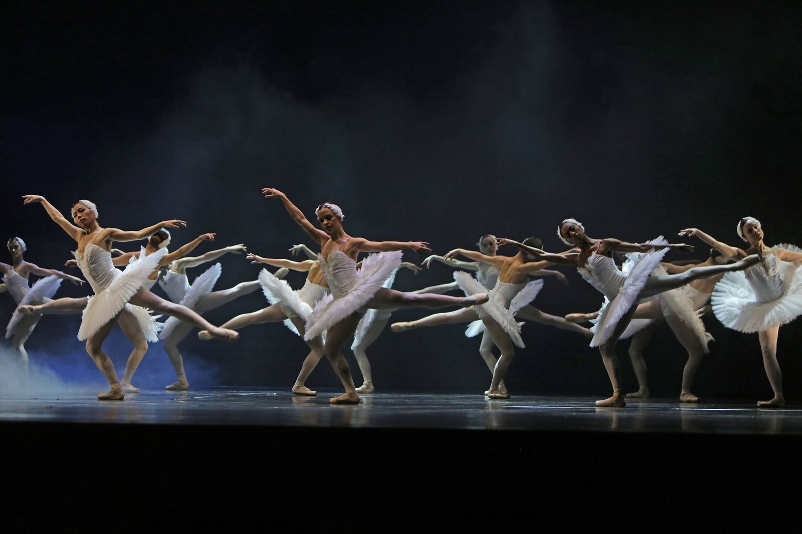 EL LAGO DE LOS CISNES