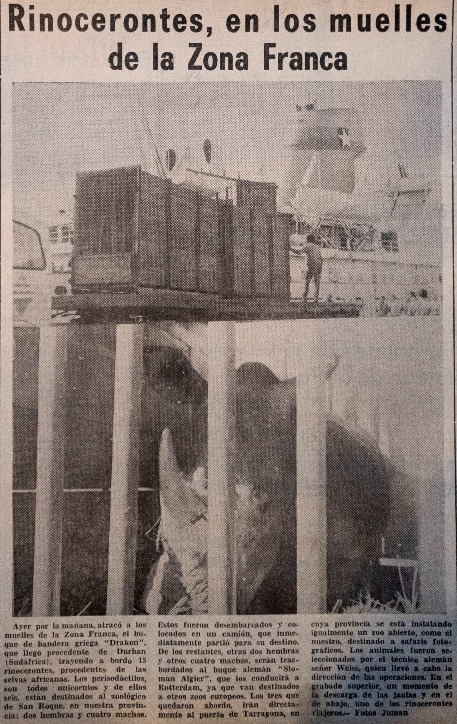 La página de 'Diario de Cádiz', del 16 de mayo de 1972, cuando los rinocerontes llegaron a los muelles de la Zona Franca.