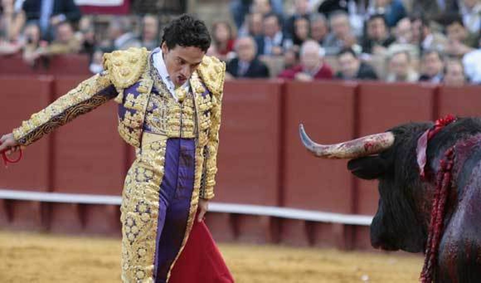 Alfonso Oliva Soto sustituye el domingo a Manzanares en la Maestranza