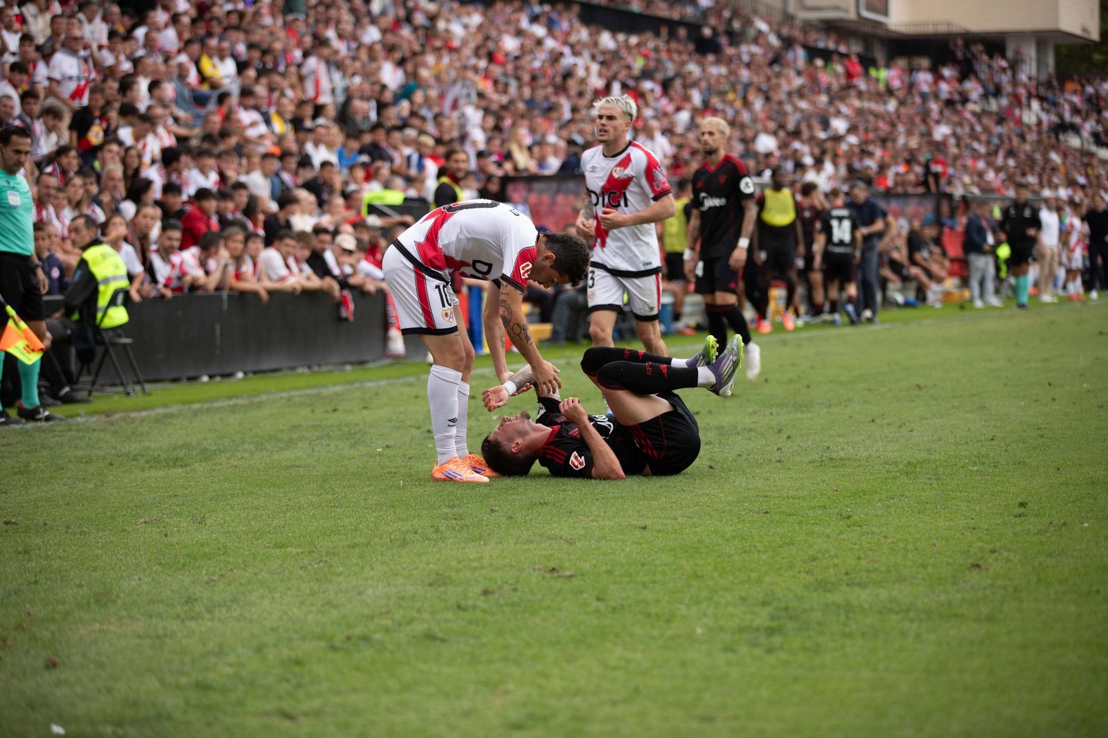 Las mejores fotos del Rayo Vallecano-Sevilla