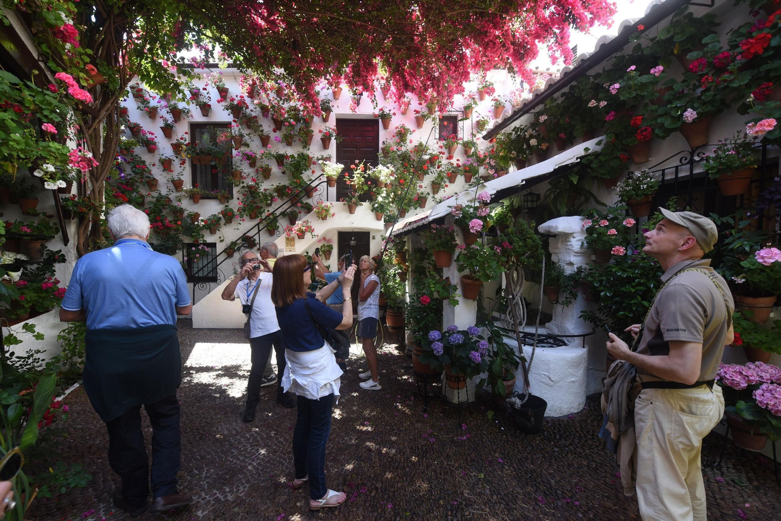 El último sábado de Patios de Córdoba en Alcázar Viejo, en imágenes