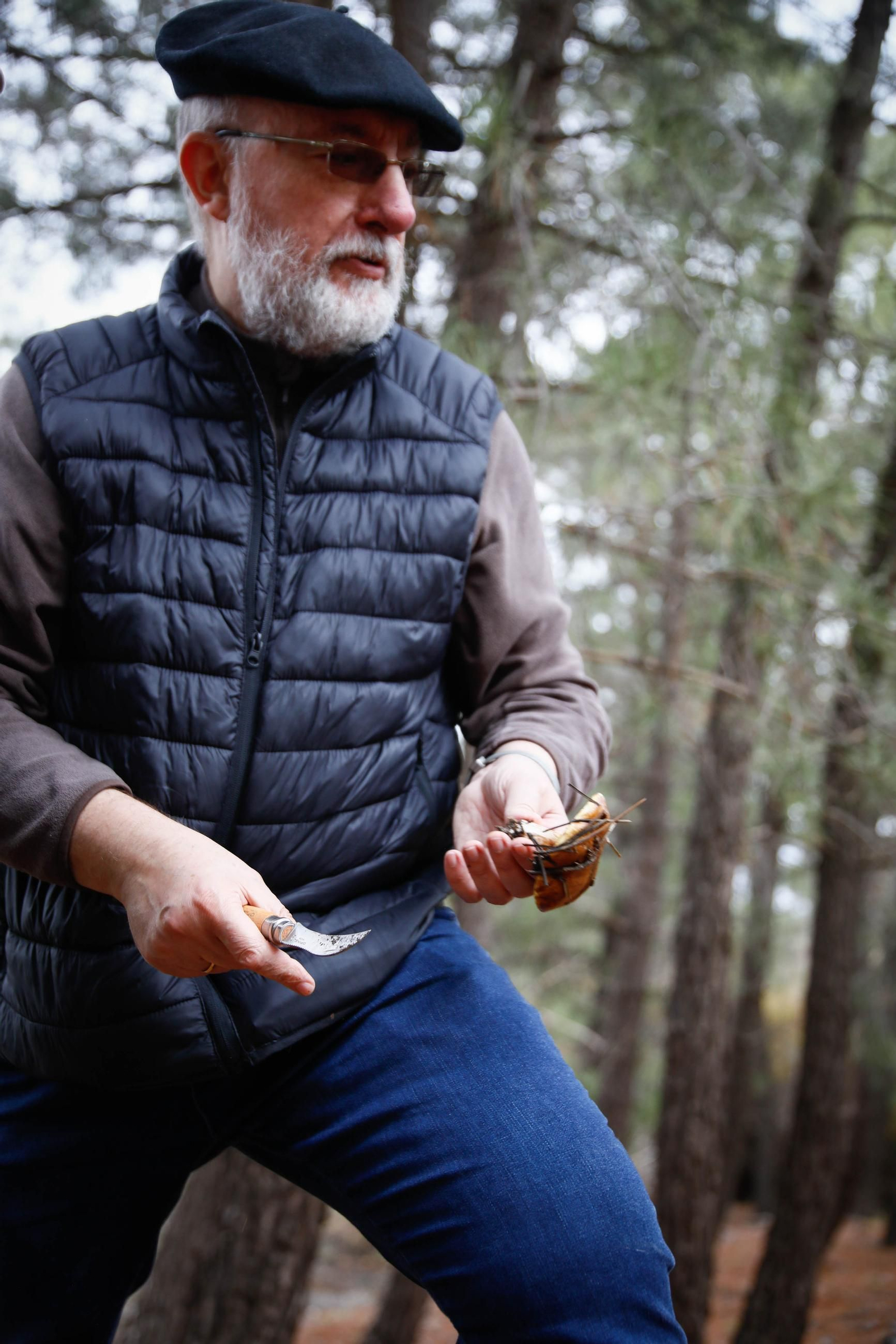 La ruta recolectora de setas en Abla por las XIX Jornadas Micológicas, en imágenes