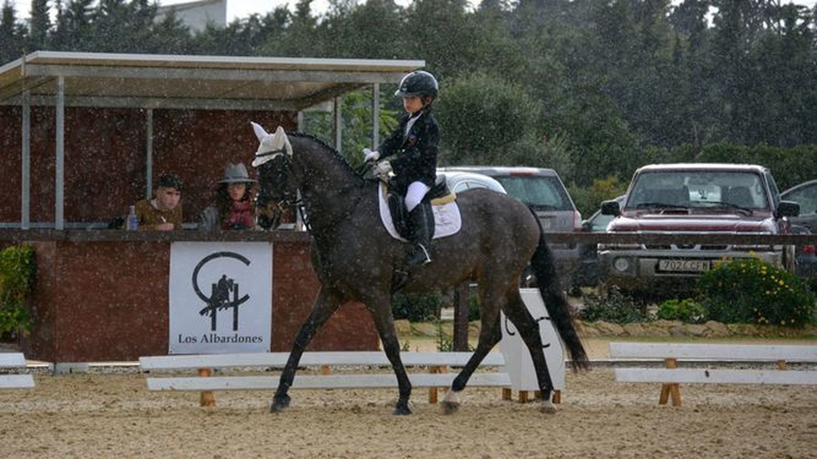El jinete linense del Dressage Sotogrande Curro Ramírez, durante una competición