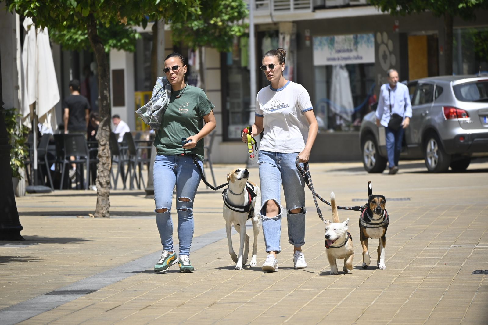 Imágenes del viernes 26 de mayo