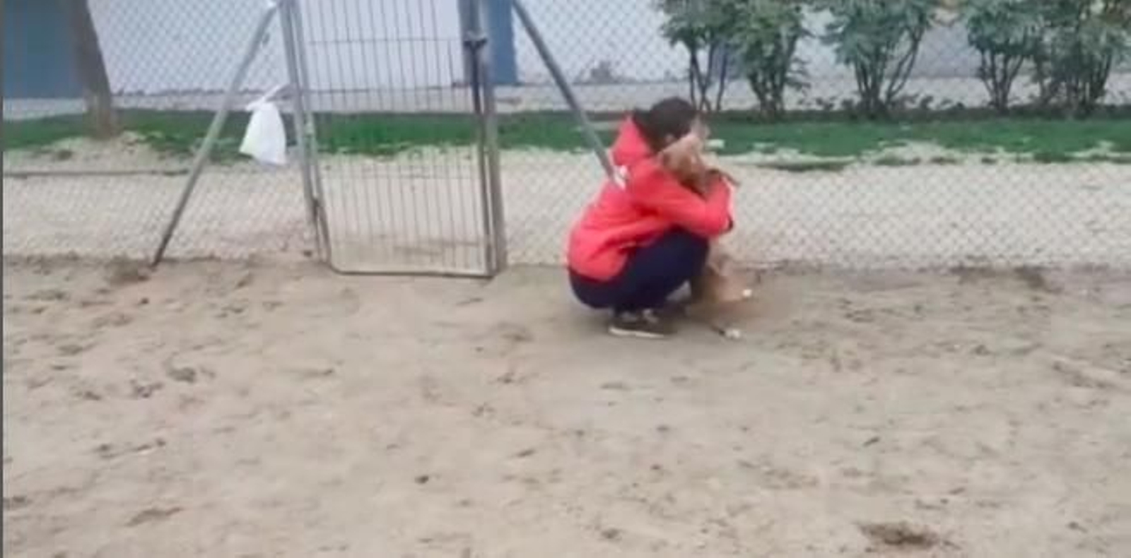 El emotivo momento en que un perro vuelve con su dueña 5 años después de haber sido robado