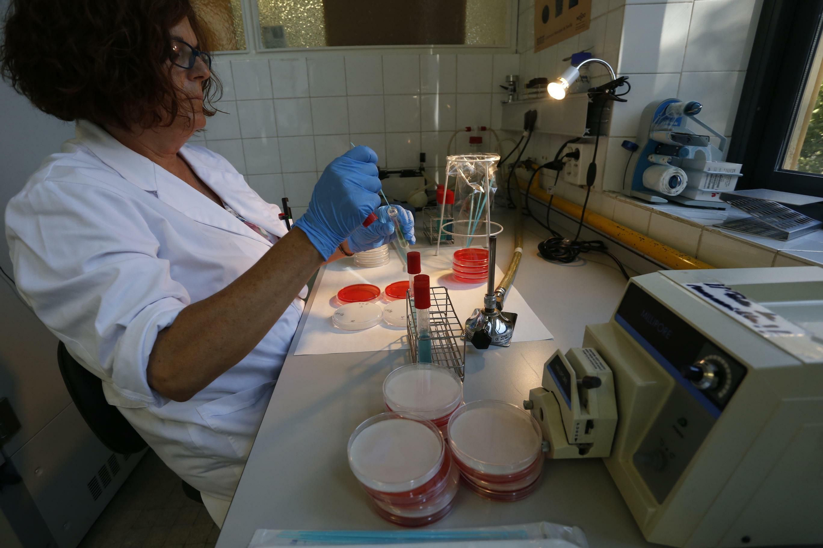 Una trabajadora del Laboratorio Municipal de Sevilla.