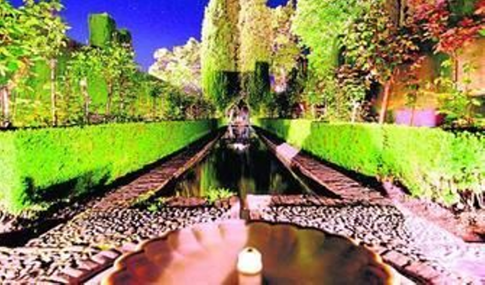 Los alumnos aprenden trabajando en los jardines de la Alhambra y el Generalife.