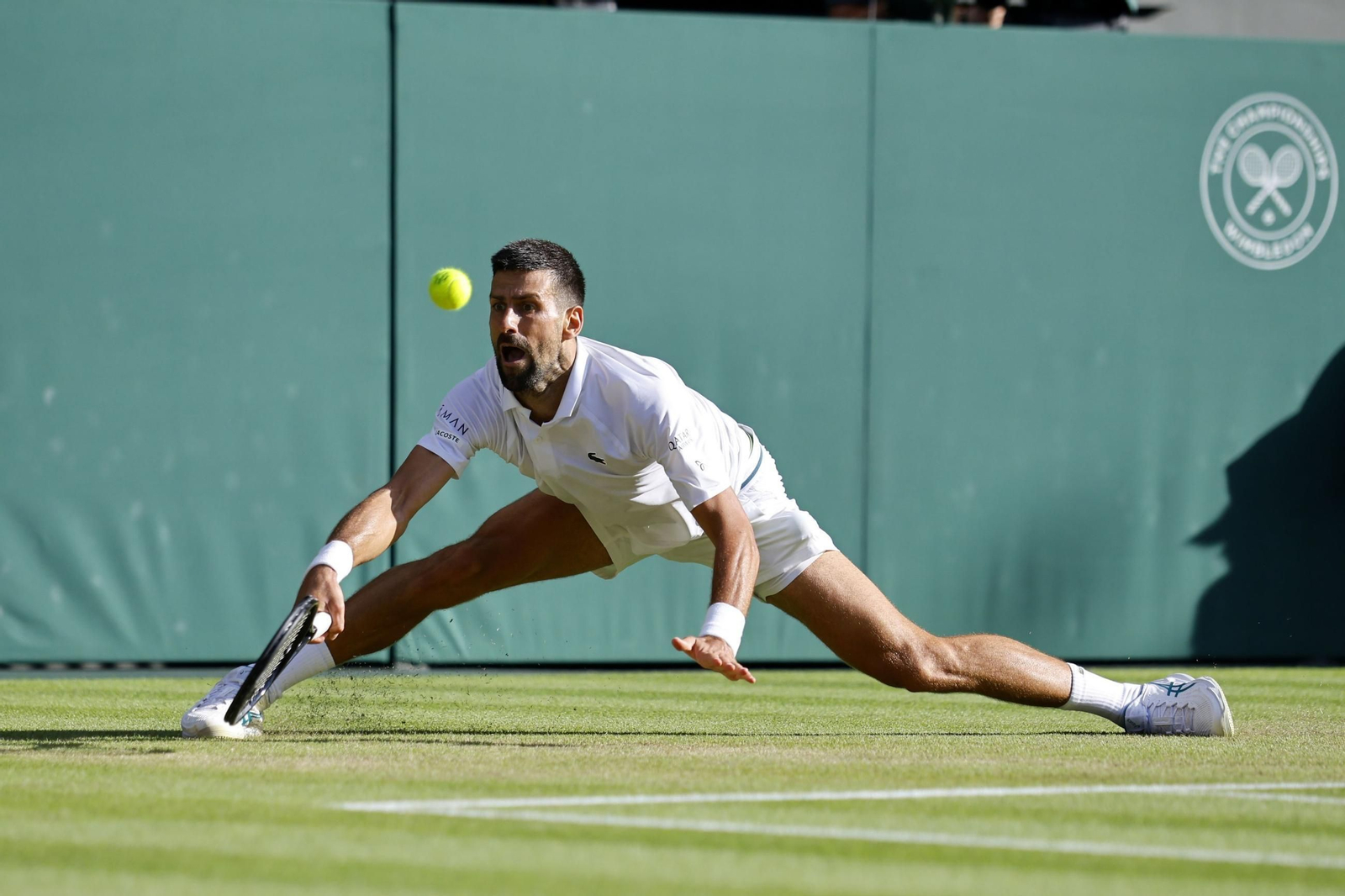 Las fotos de Wimbledon con las clasificaciones de Djokovic y Sinner