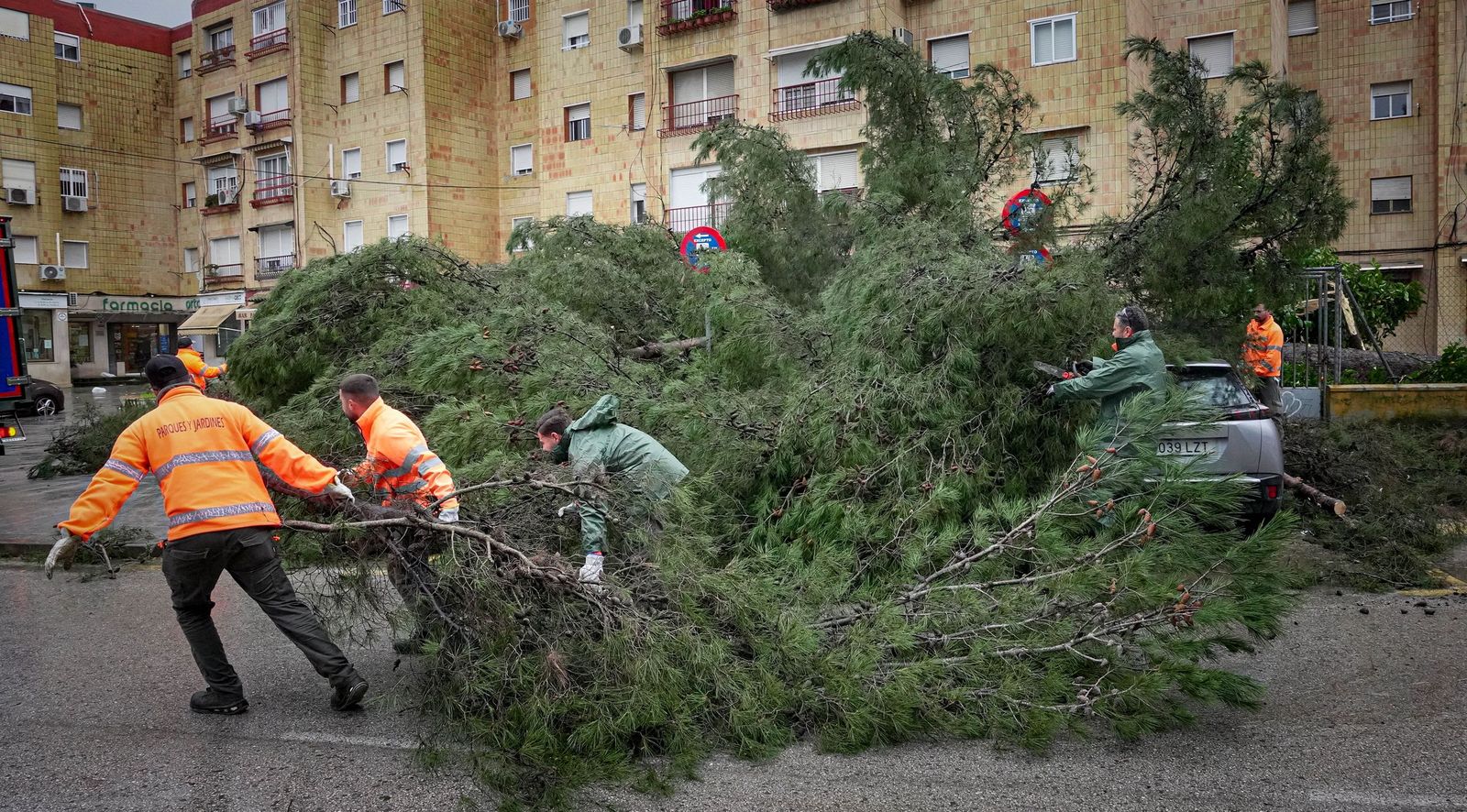 Imágenes de los efectos del temporal Kristin a su paso por Jerez