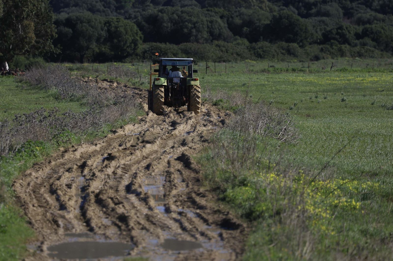 Las fotografías de la ganadería de Luis Benítez en Tarifa