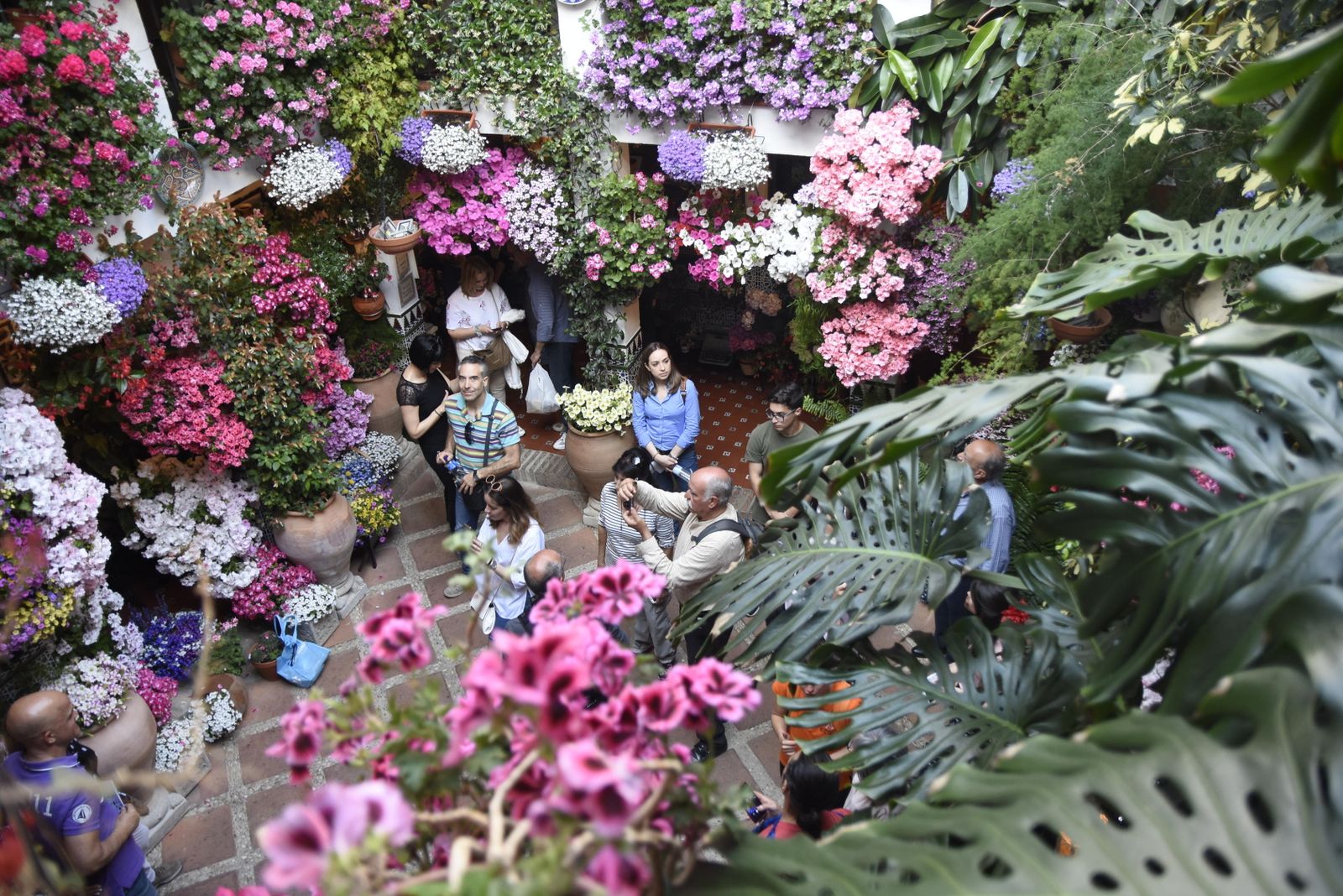 Una imagen del patio de Parras, 5.