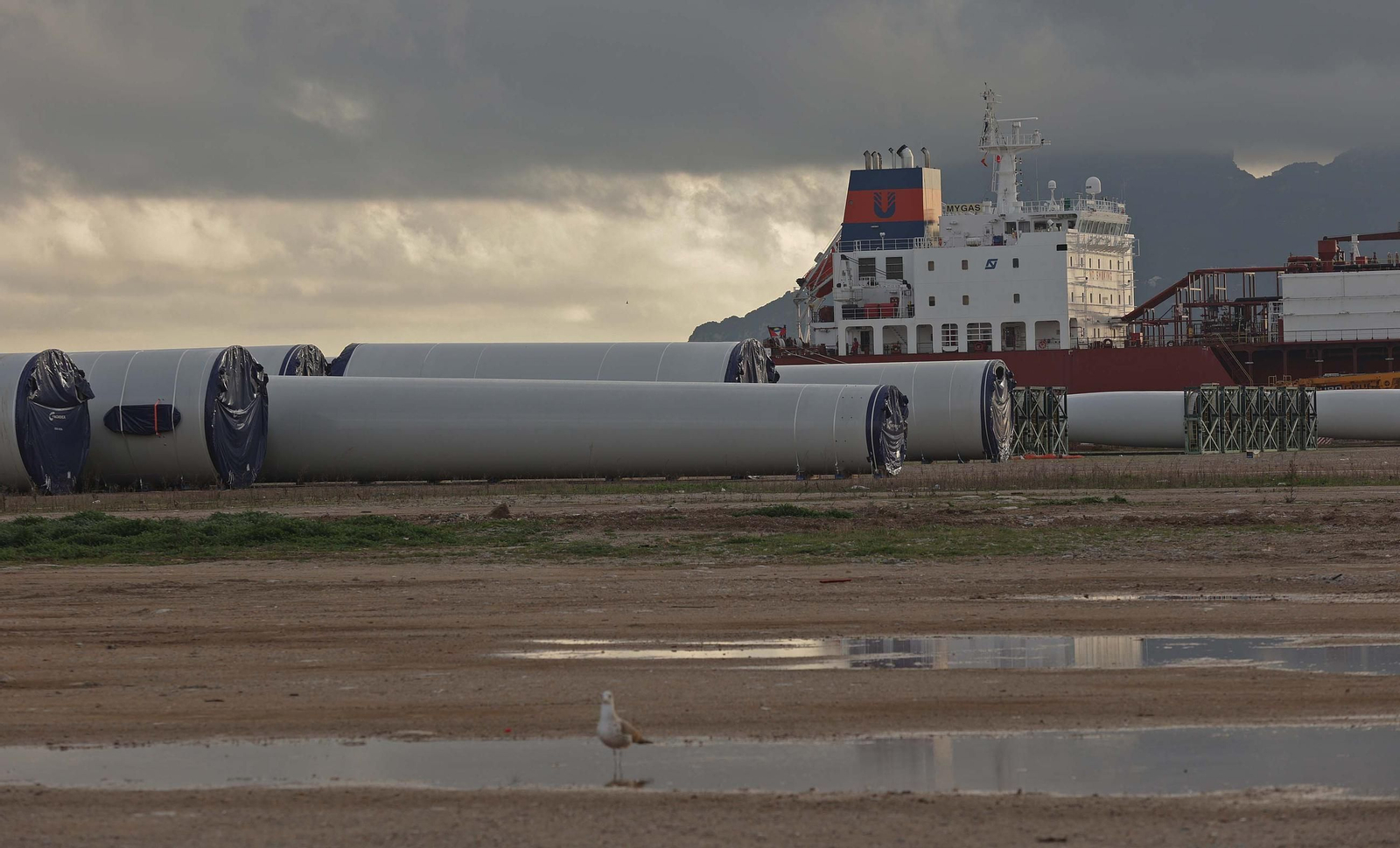 Los aerogeneradores descargados en el muelle de Isla Verde Exterior del Puerto de Algeciras, en imágenes