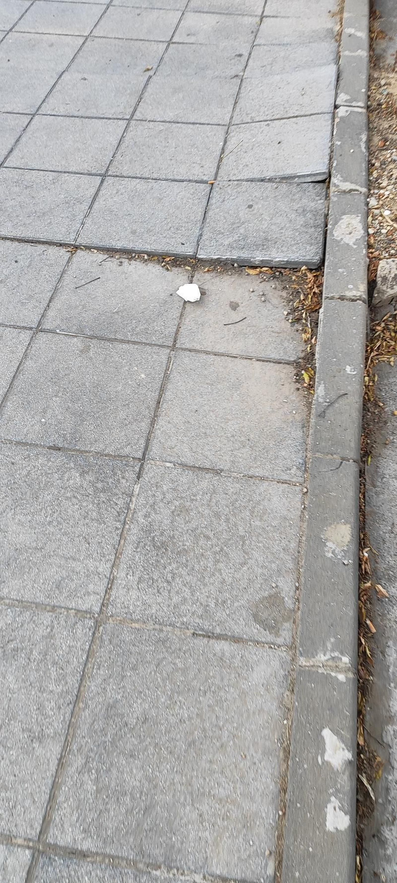 Fotos de aceras rotas en distintos puntos de Algeciras